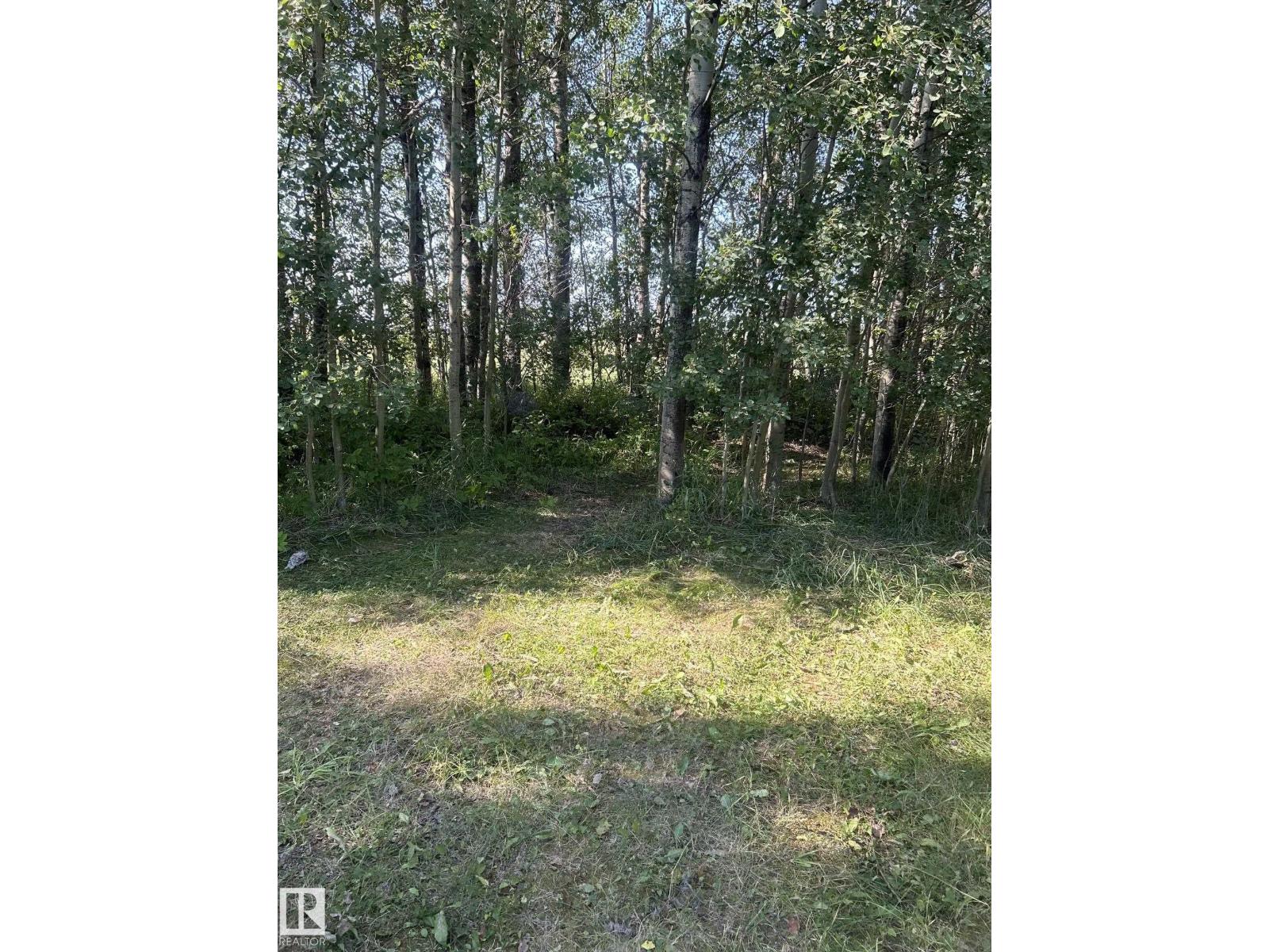 45a 473052 Rge Road 11, Rural Wetaskiwin County, Alberta  T0C 2P0 - Photo 36 - E4473017