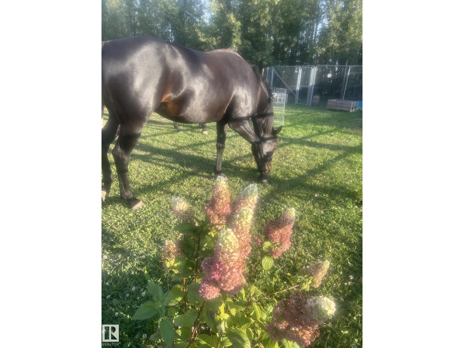 45a 473052 Rge Road 11, Rural Wetaskiwin County, Alberta  T0C 2P0 - Photo 37 - E4473017