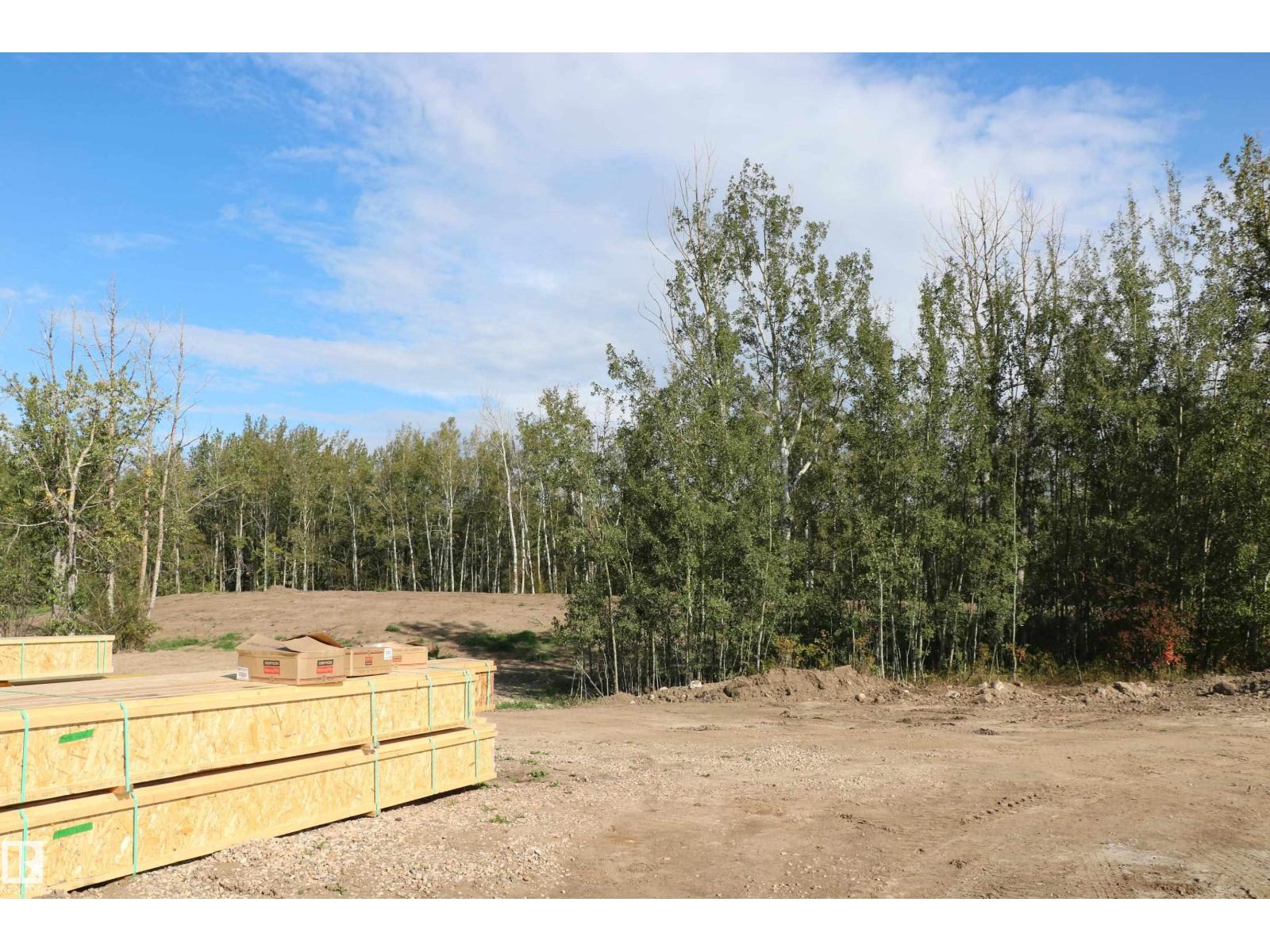 617 55101 Ste Anne Tr, Rural Lac Ste. Anne County, Alberta  T0E 1A1 - Photo 4 - E4473279