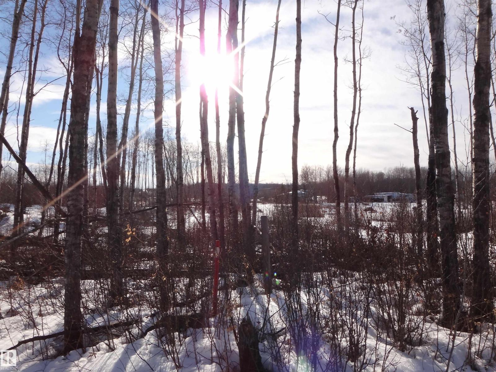 53303 Rge Rd 13, Rural Lac Ste. Anne County, Alberta  T0E 1V0 - Photo 11 - E4473335