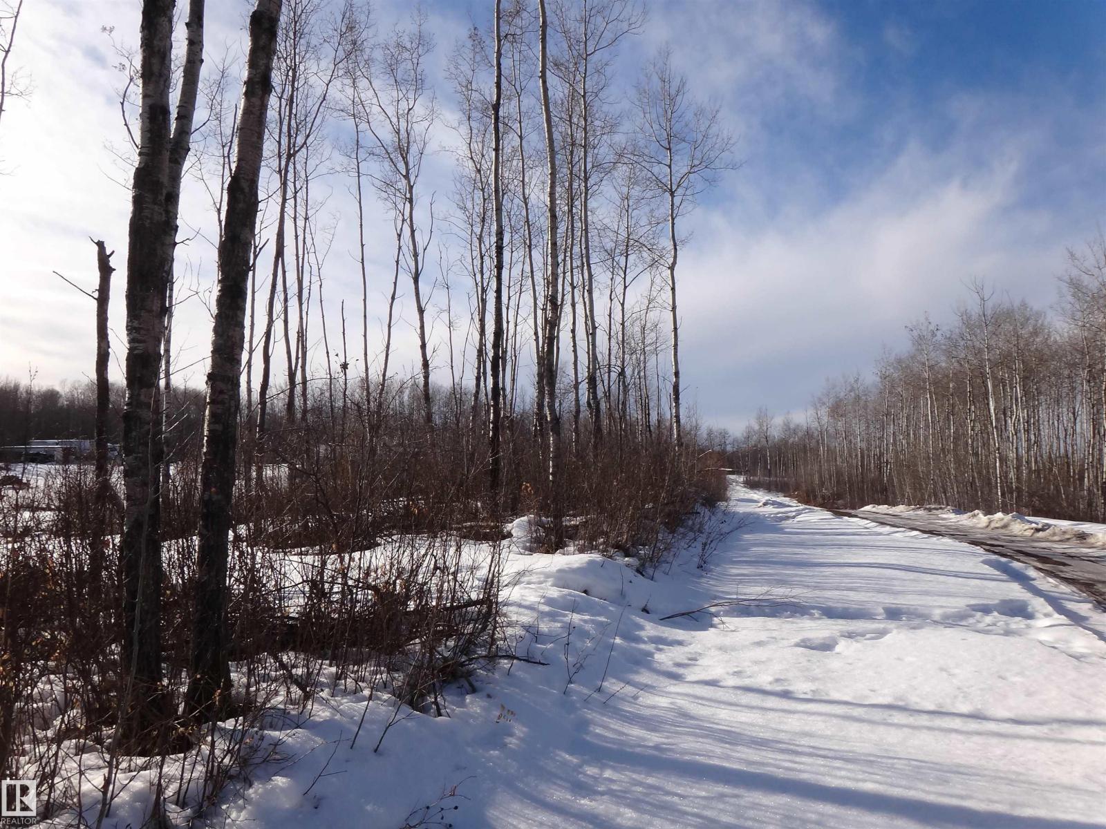 53303 Rge Rd 13, Rural Lac Ste. Anne County, Alberta  T0E 1V0 - Photo 17 - E4473335