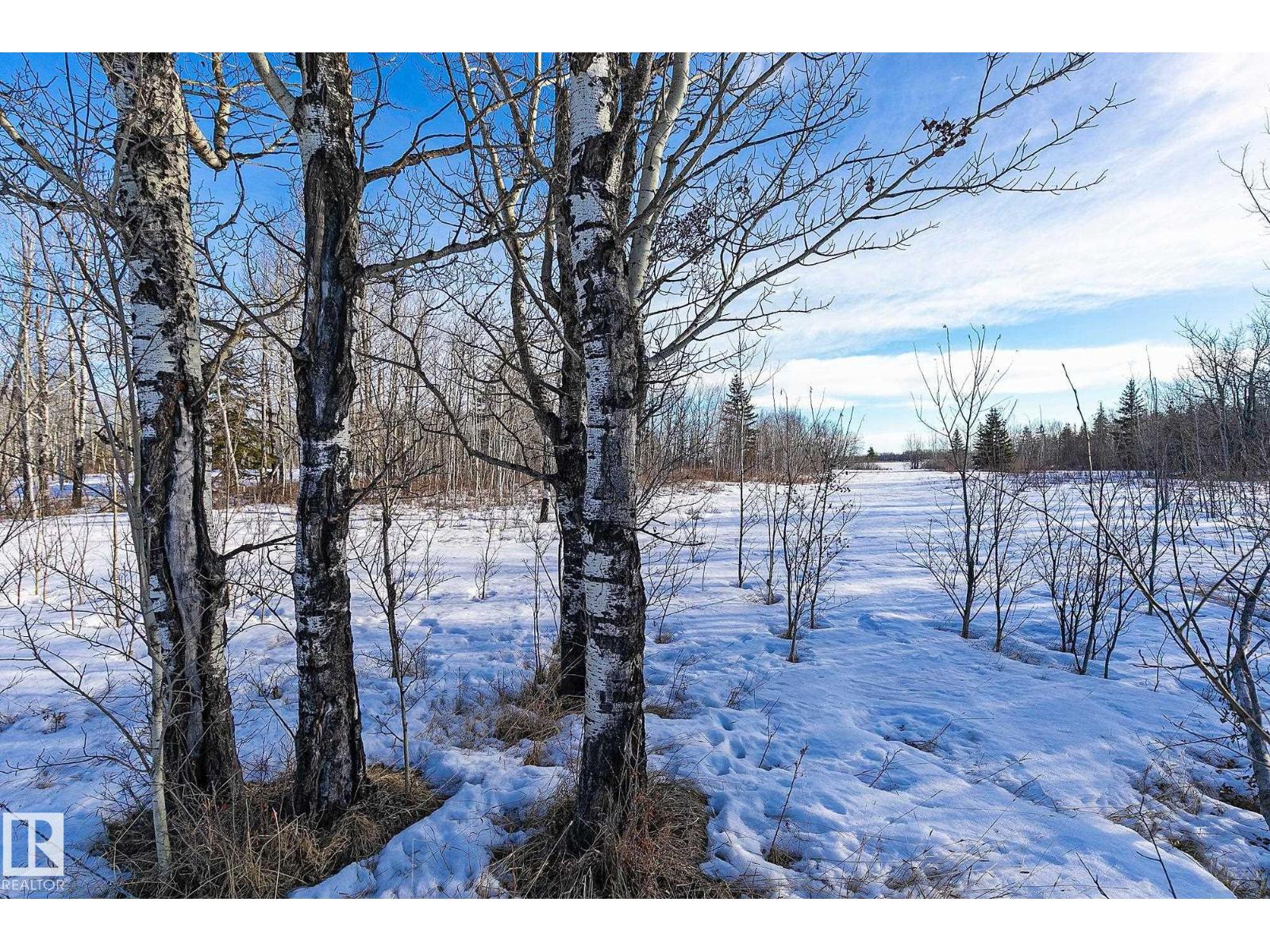 55404 Rr 12a, Rural Lac Ste. Anne County, Alberta T0E 1V0 - Photo 47 - E4473377