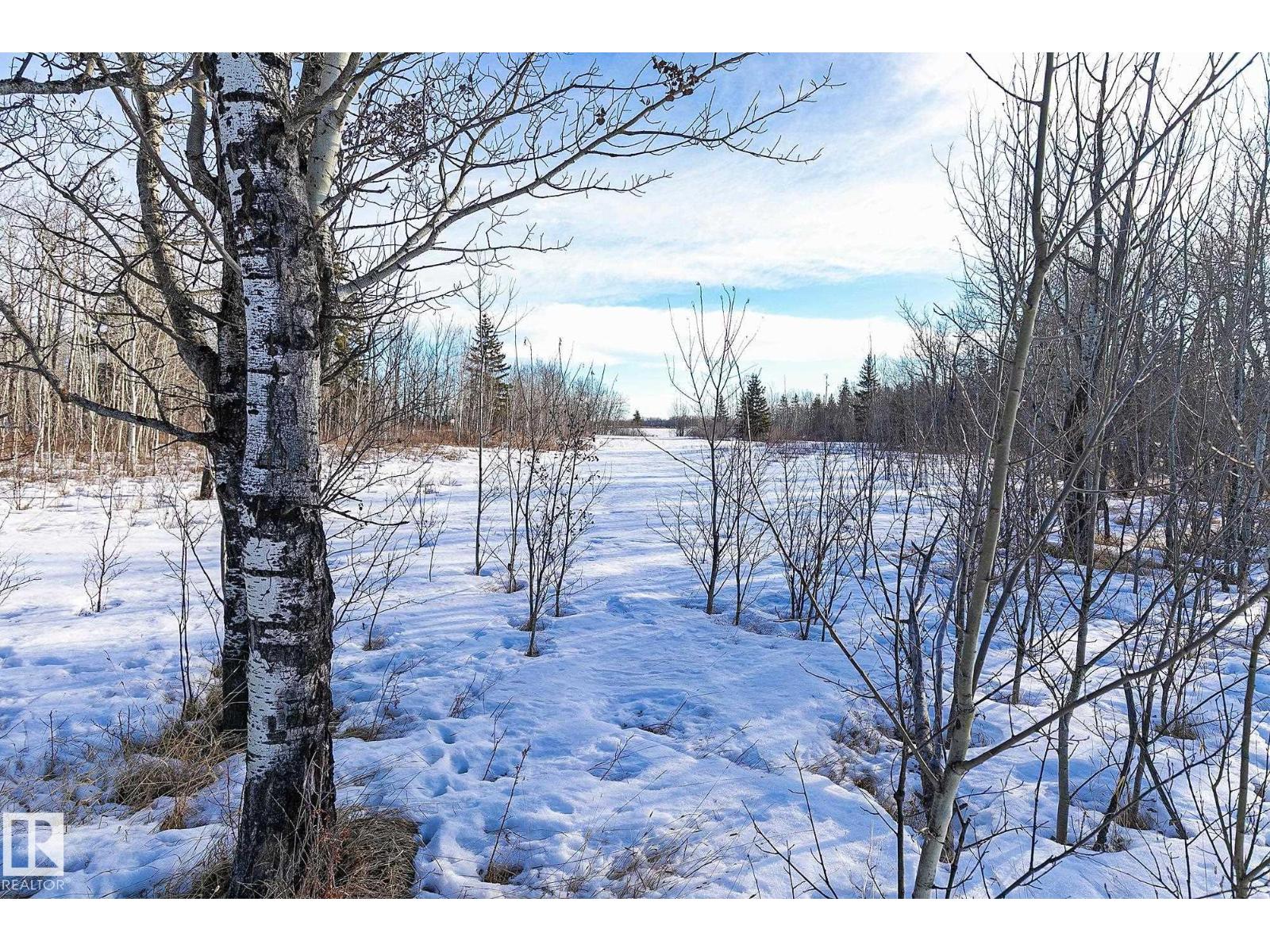 55404 Rr 12a, Rural Lac Ste. Anne County, Alberta T0E 1V0 - Photo 48 - E4473377