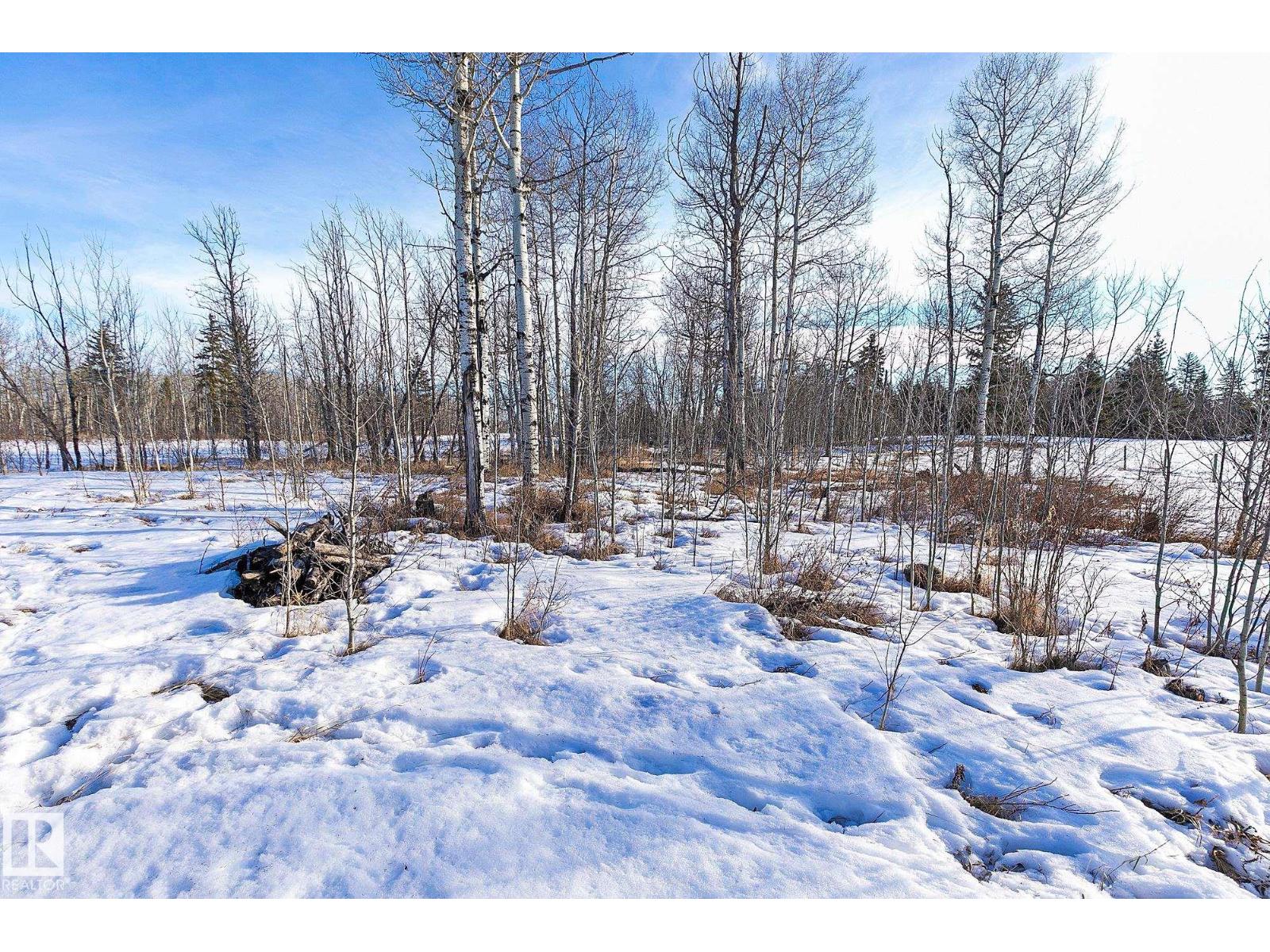 55404 Rr 12a, Rural Lac Ste. Anne County, Alberta T0E 1V0 - Photo 50 - E4473377
