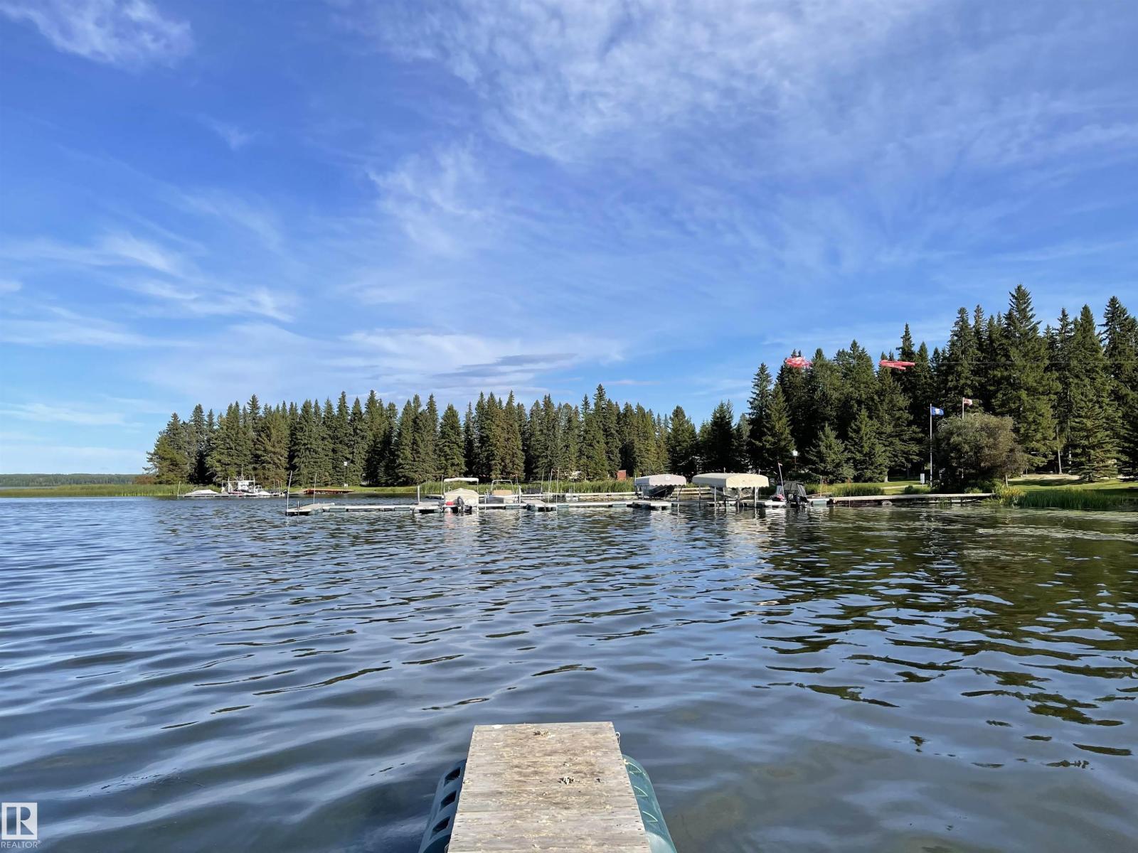 140 465015 Rge Rd 63a, Rural Wetaskiwin County, Alberta T0C 0T0 - Photo 6 - E4474416