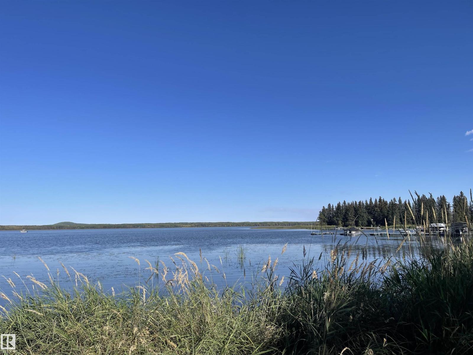 140 465015 Rge Rd 63a, Rural Wetaskiwin County, Alberta T0C 0T0 - Photo 7 - E4474416