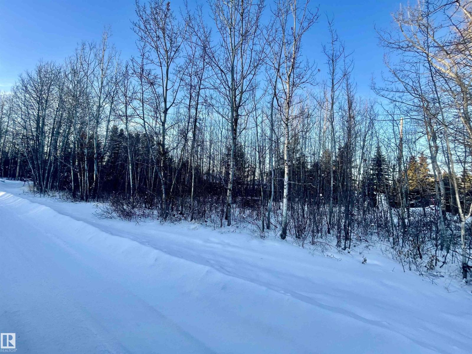 418 4th St. Norris Beach, Rural Wetaskiwin County, Alberta  T0C 2V0 - Photo 3 - E4474668