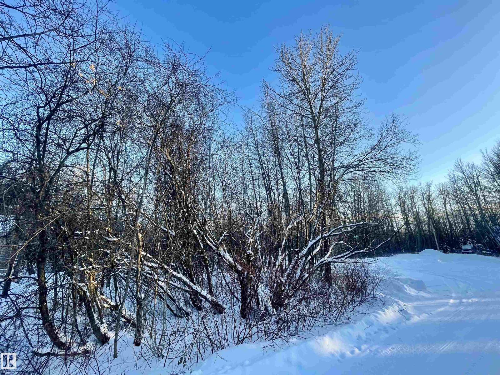 418 4th St. Norris Beach, Rural Wetaskiwin County, Alberta  T0C 2V0 - Photo 4 - E4474668