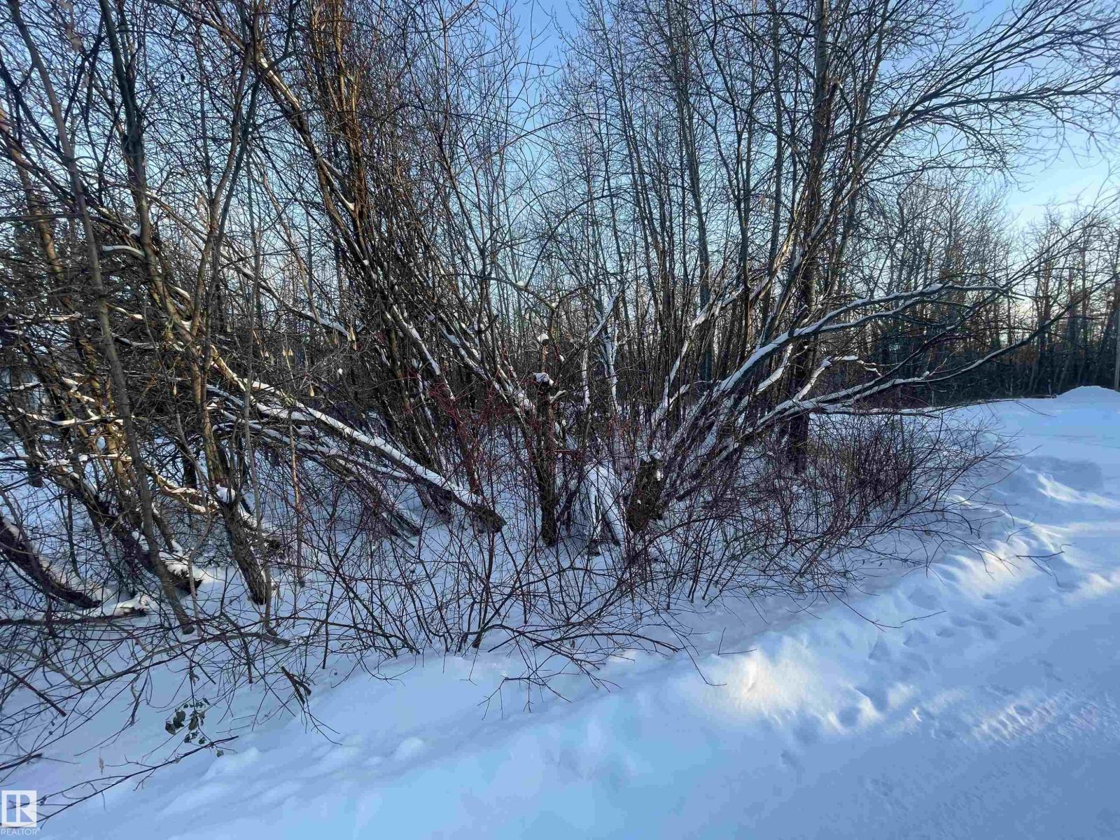 418 4th St. Norris Beach, Rural Wetaskiwin County, Alberta  T0C 2V0 - Photo 6 - E4474668