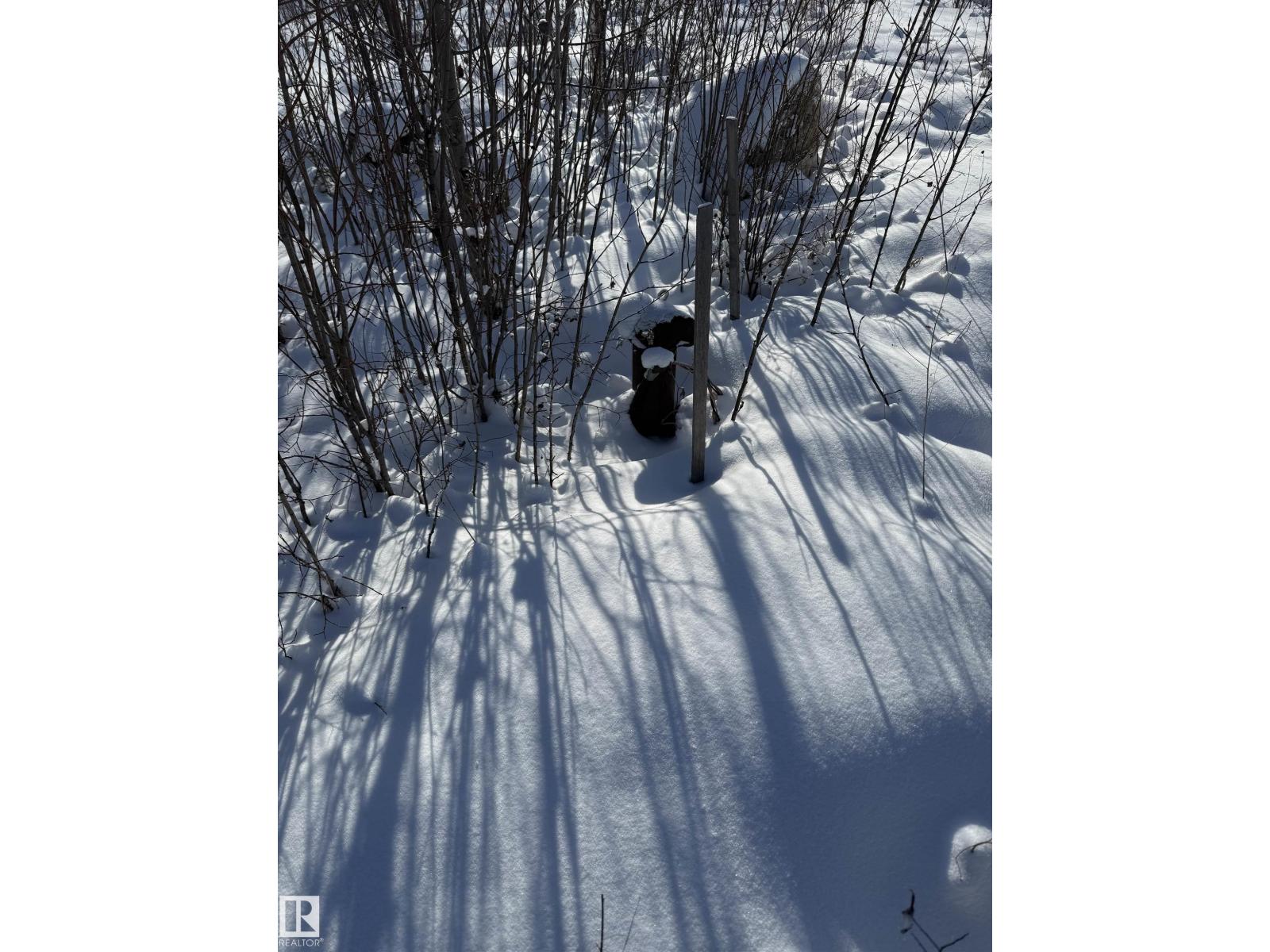 55312 Rr 60, Rural Lac Ste. Anne County, Alberta  T0E 2A0 - Photo 26 - E4474683