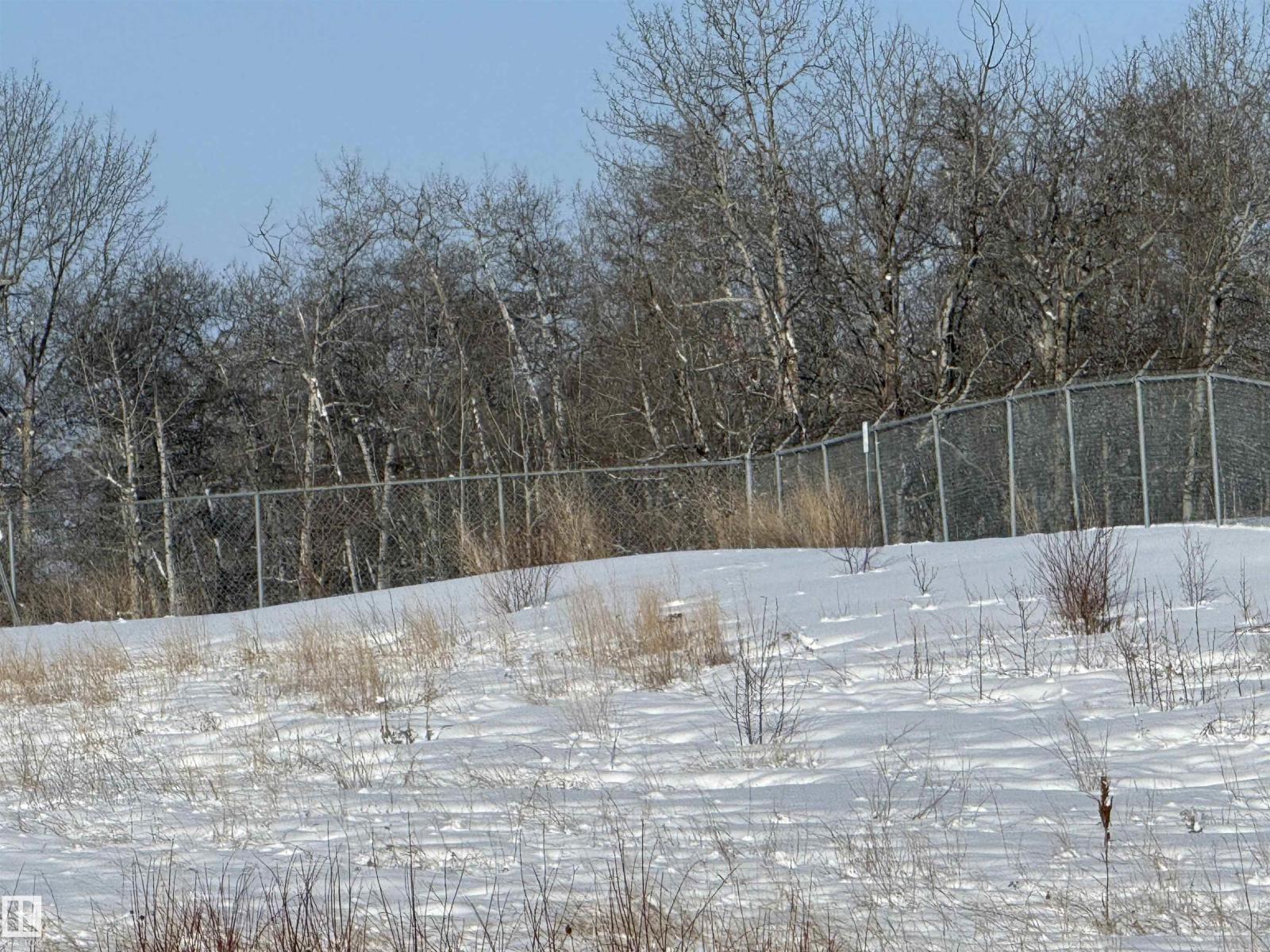 55312 Rr 60, Rural Lac Ste. Anne County, Alberta  T0E 2A0 - Photo 32 - E4474683