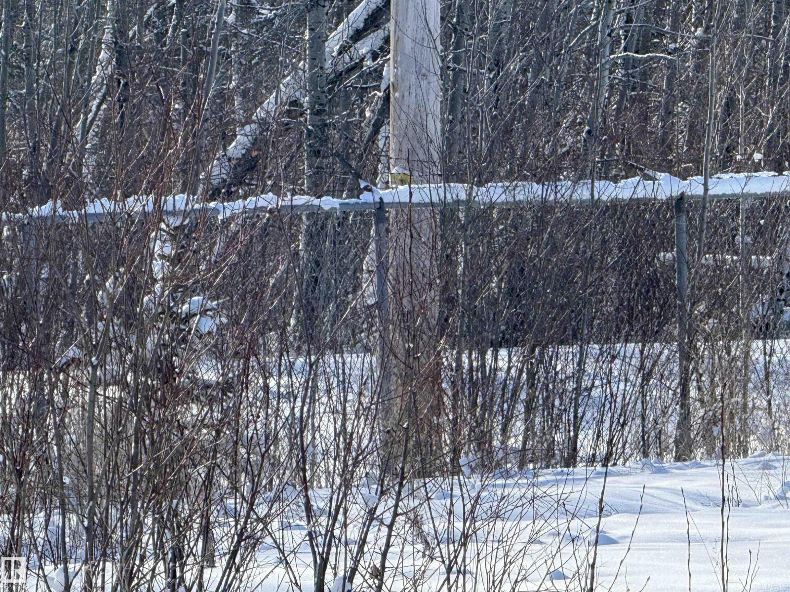 55312 Rr 60, Rural Lac Ste. Anne County, Alberta  T0E 2A0 - Photo 33 - E4474683