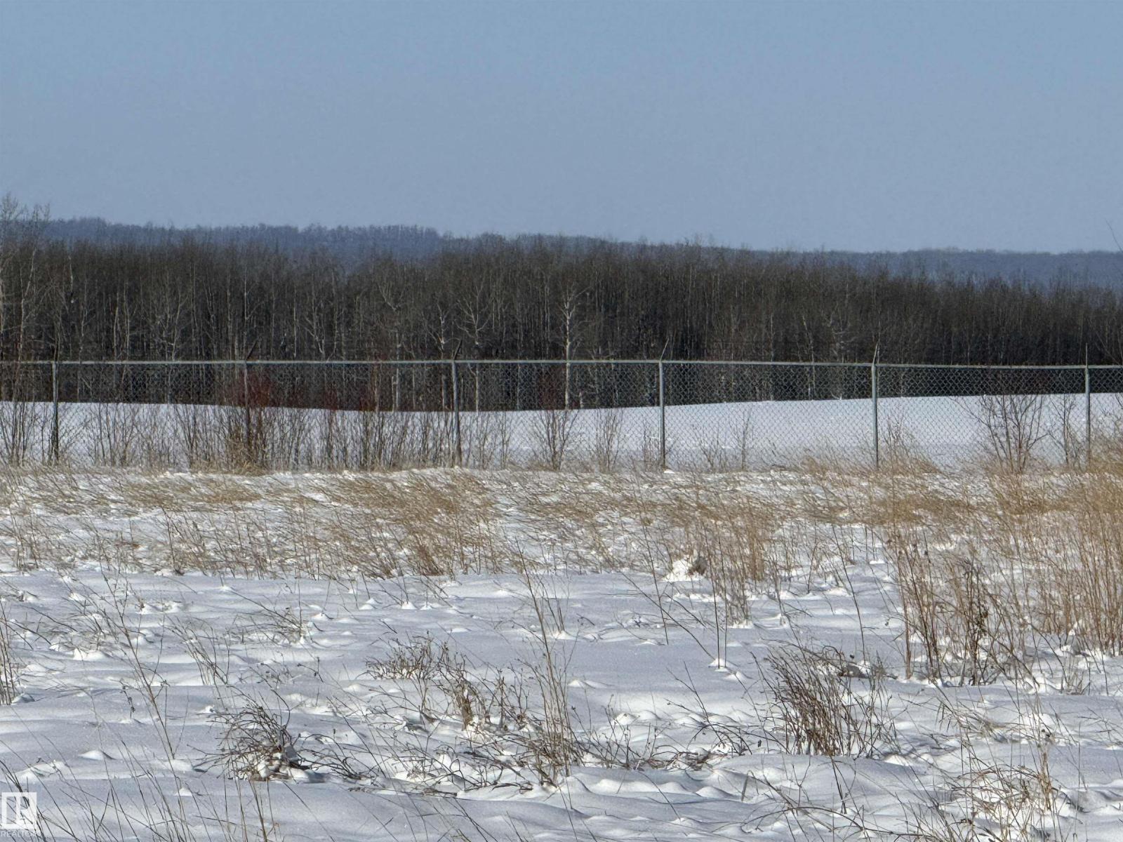 55312 Rr 60, Rural Lac Ste. Anne County, Alberta  T0E 2A0 - Photo 35 - E4474683