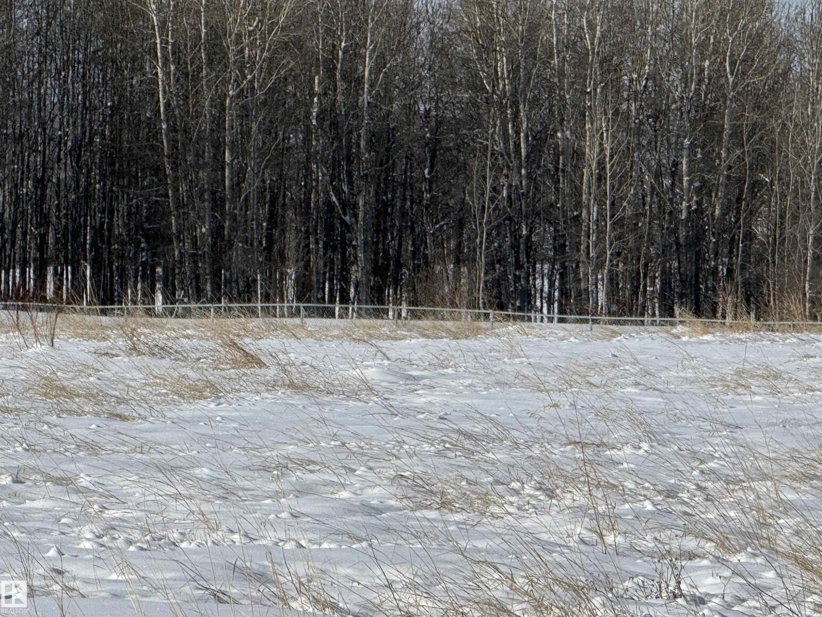 55312 Rr 60, Rural Lac Ste. Anne County, Alberta  T0E 2A0 - Photo 36 - E4474683