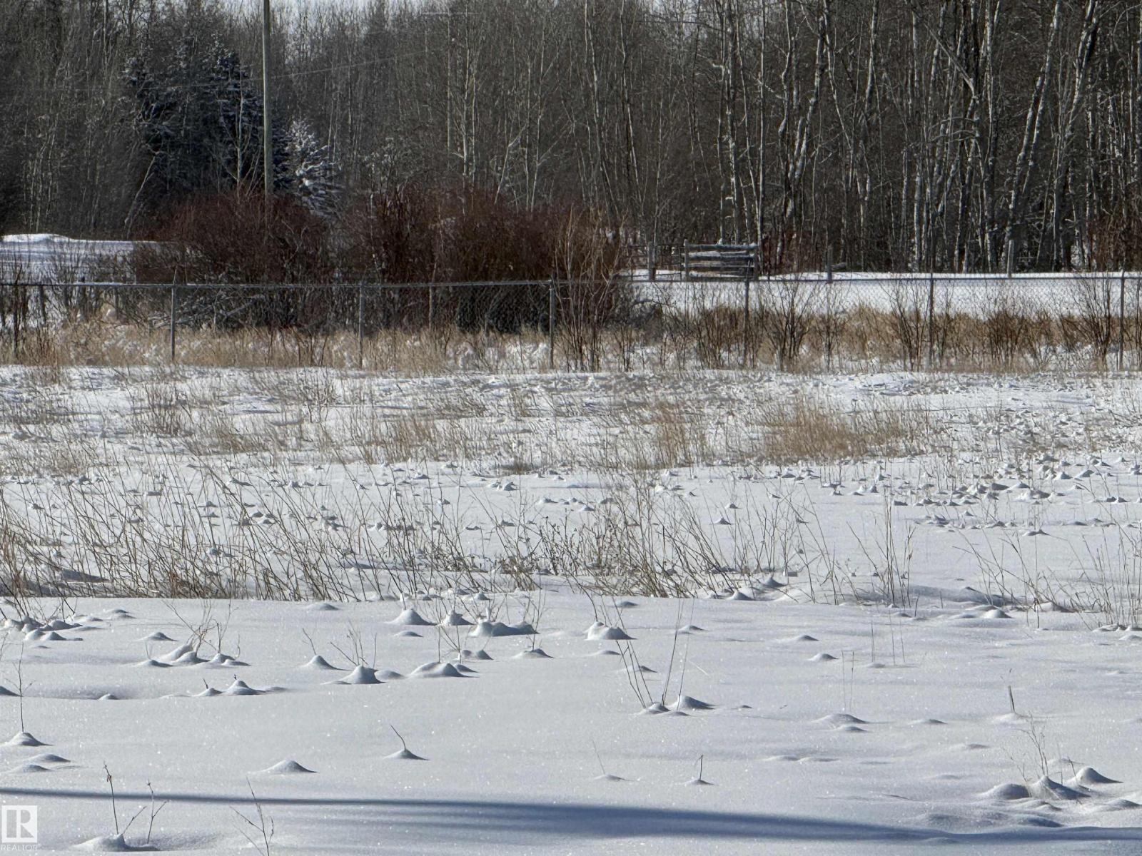 55312 Rr 60, Rural Lac Ste. Anne County, Alberta  T0E 2A0 - Photo 37 - E4474683