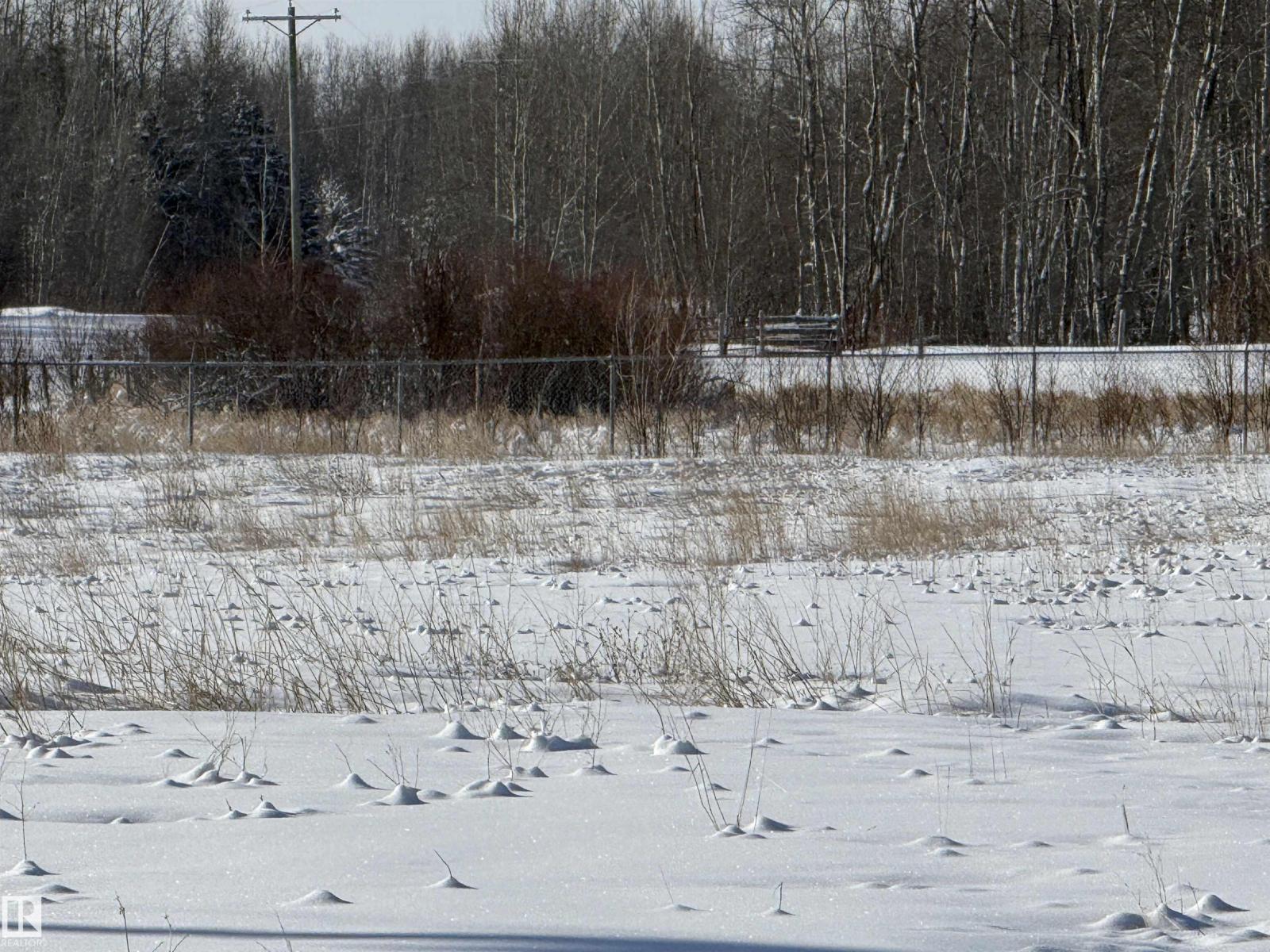 55312 Rr 60, Rural Lac Ste. Anne County, Alberta  T0E 2A0 - Photo 38 - E4474683