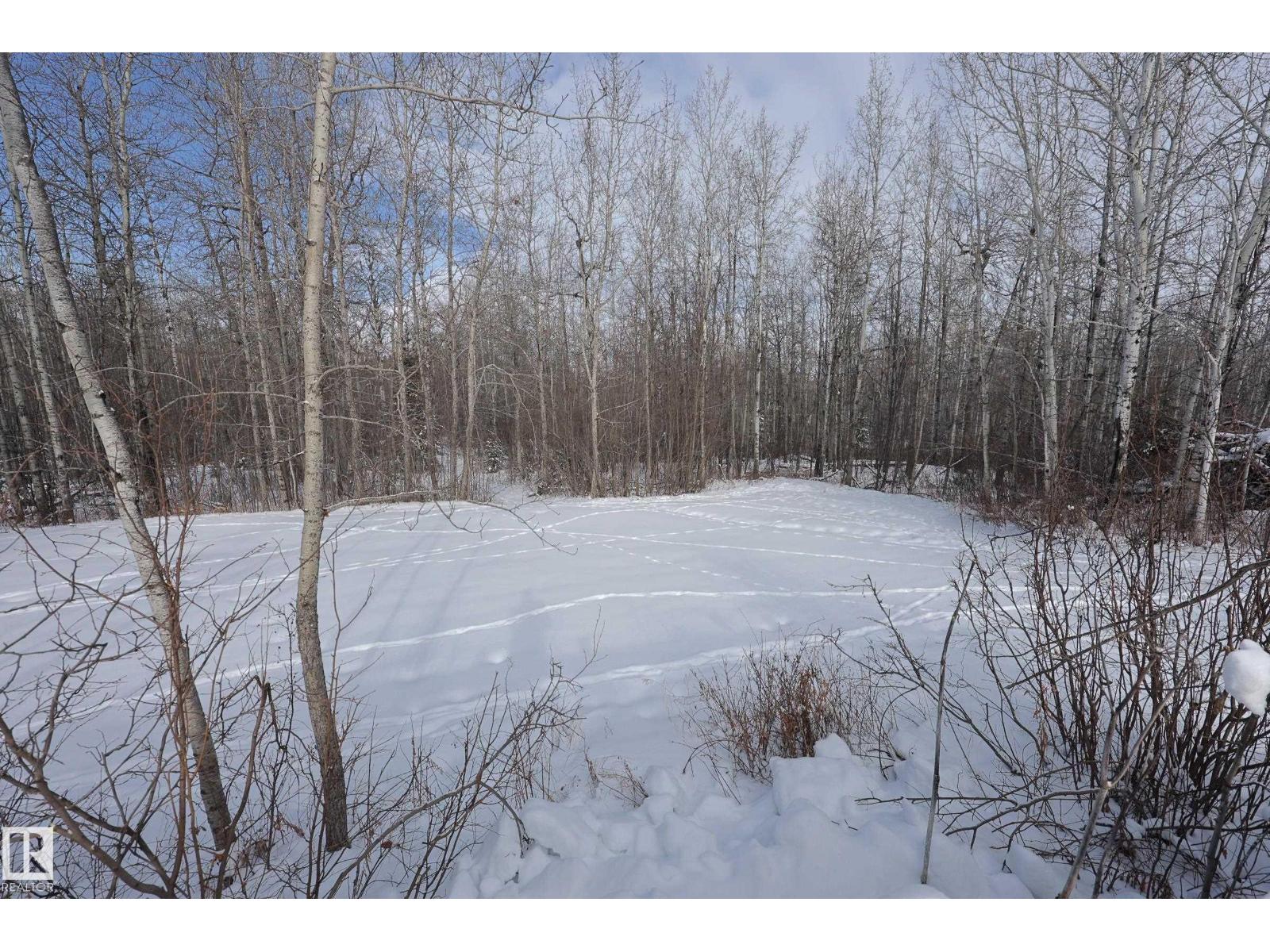 274032 Twp Road 480, Rural Wetaskiwin County, Alberta  T0C 2P0 - Photo 31 - E4474939
