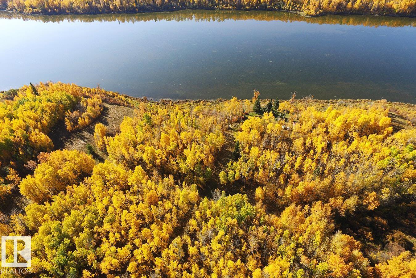271083 Twp Road 473, Rural Wetaskiwin County, Alberta  T0C 2C0 - Photo 11 - E4474994