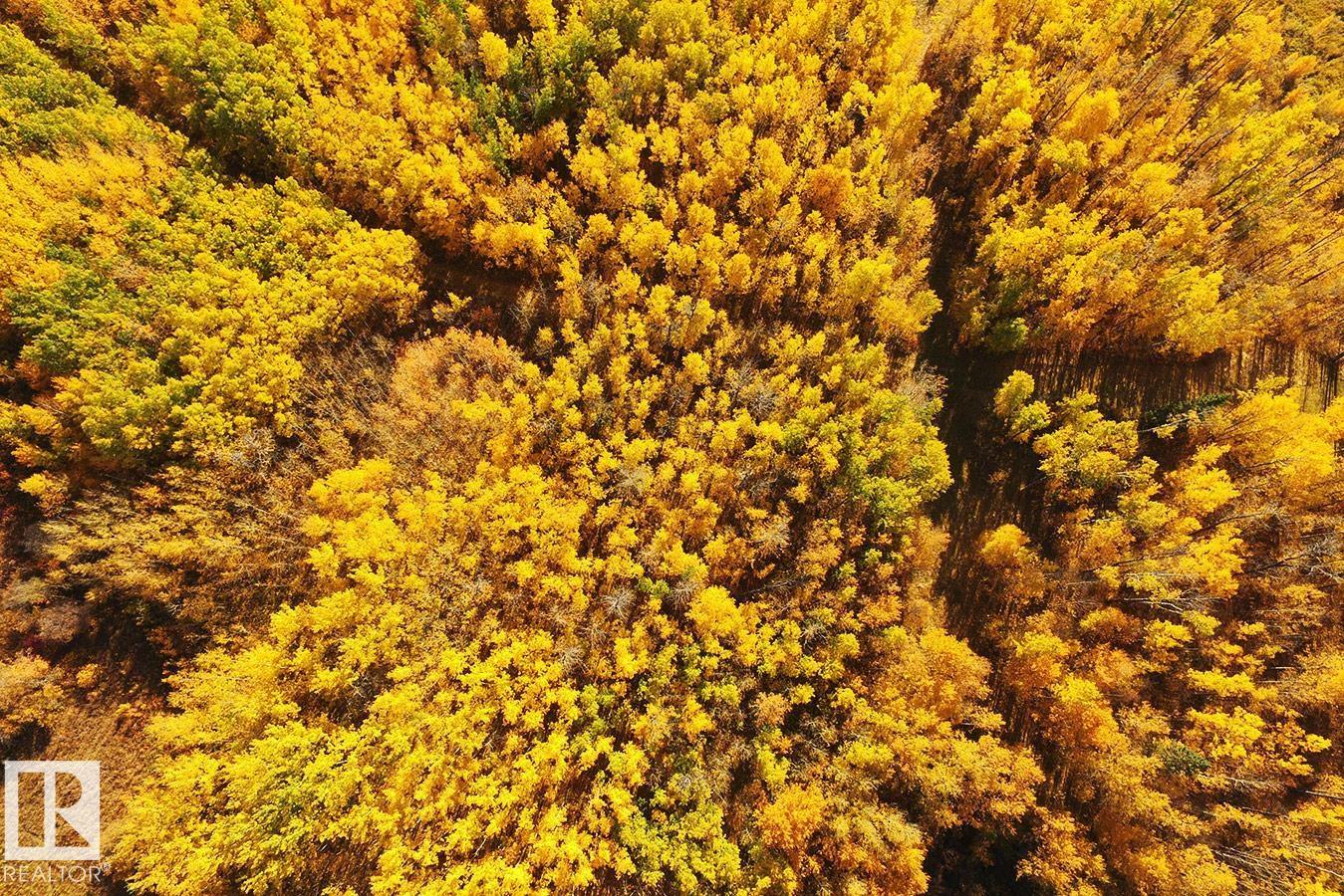 271083 Twp Road 473, Rural Wetaskiwin County, Alberta  T0C 2C0 - Photo 12 - E4474994