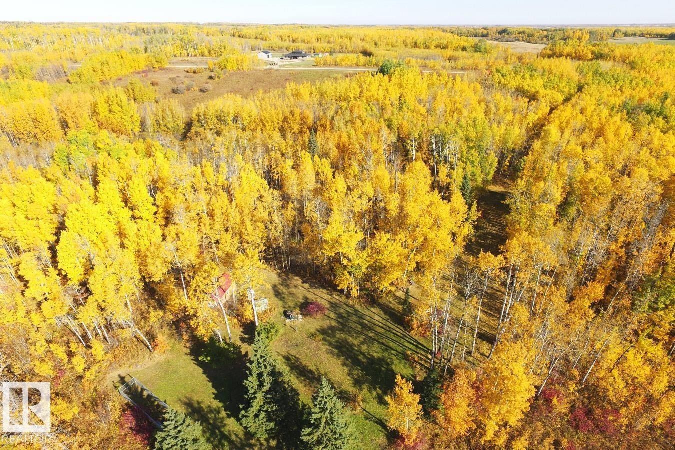 271083 Twp Road 473, Rural Wetaskiwin County, Alberta  T0C 2C0 - Photo 2 - E4474994