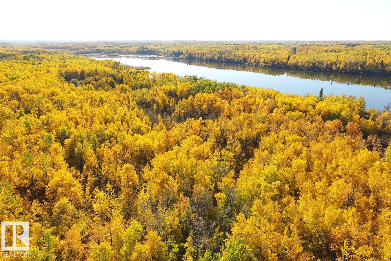 271083 Twp Road 473, Rural Wetaskiwin County, Alberta  T0C 2C0 - Photo 7 - E4474994