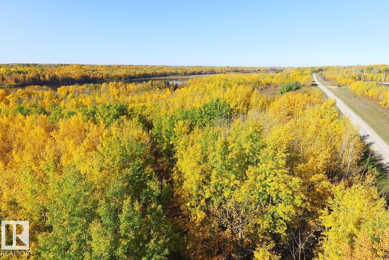 271083 Twp Road 473, Rural Wetaskiwin County, Alberta  T0C 2C0 - Photo 8 - E4474994