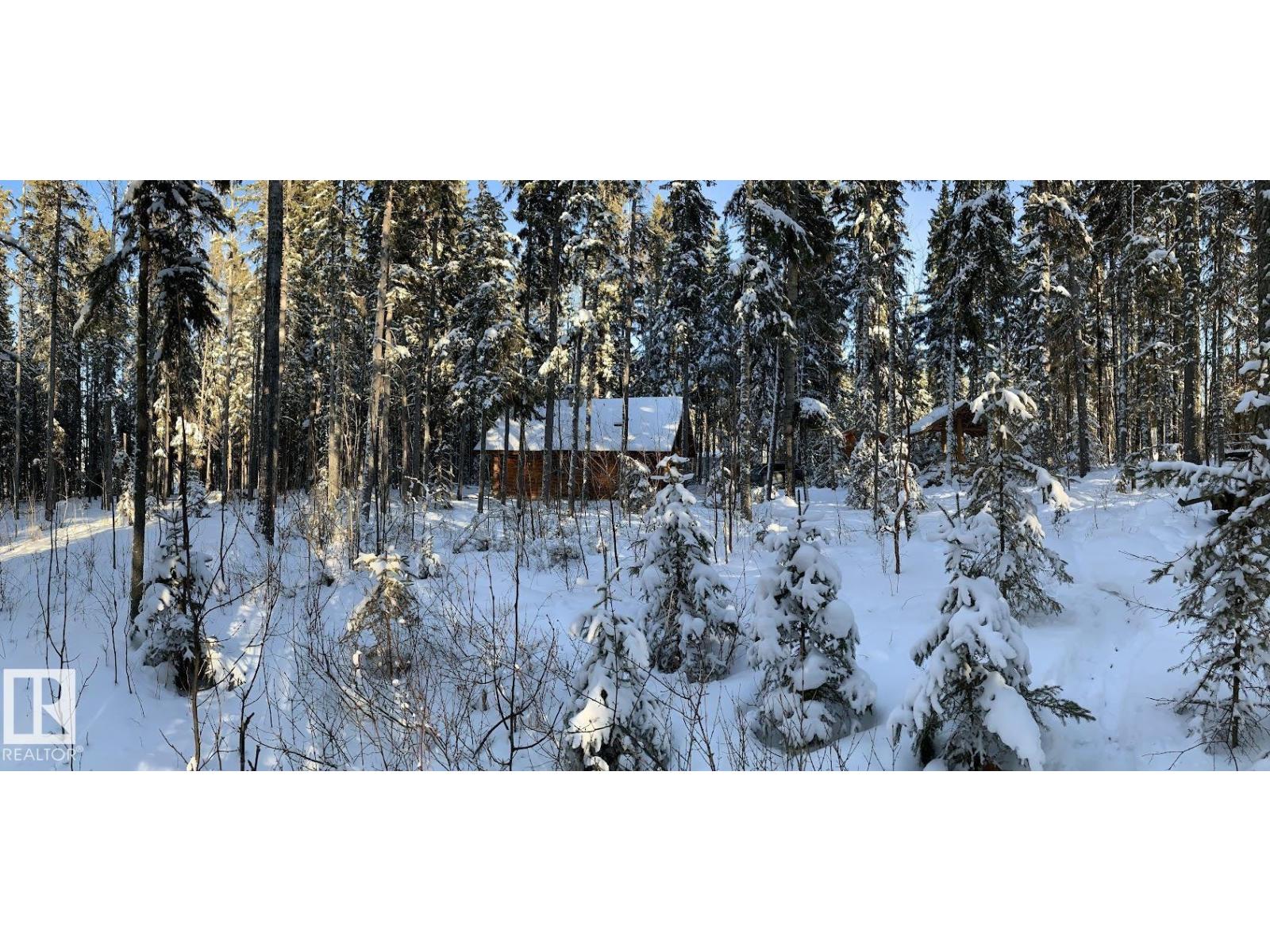 #81 62057 Twp Road 464, Rural Wetaskiwin County, Alberta T0C 0T0 - Photo 4 - E4475321