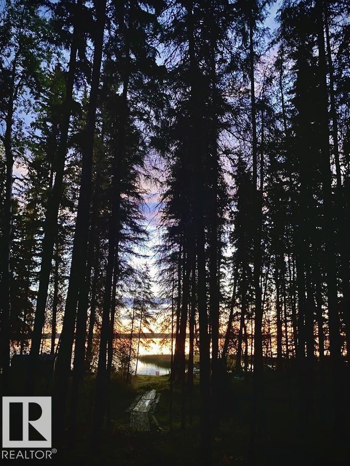 85a Twp Road 464, Rural Wetaskiwin County, Alberta T0C 0T0 - Photo 41 - E4475322