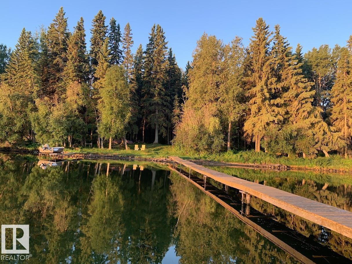 85a Twp Road 464, Rural Wetaskiwin County, Alberta T0C 0T0 - Photo 43 - E4475322