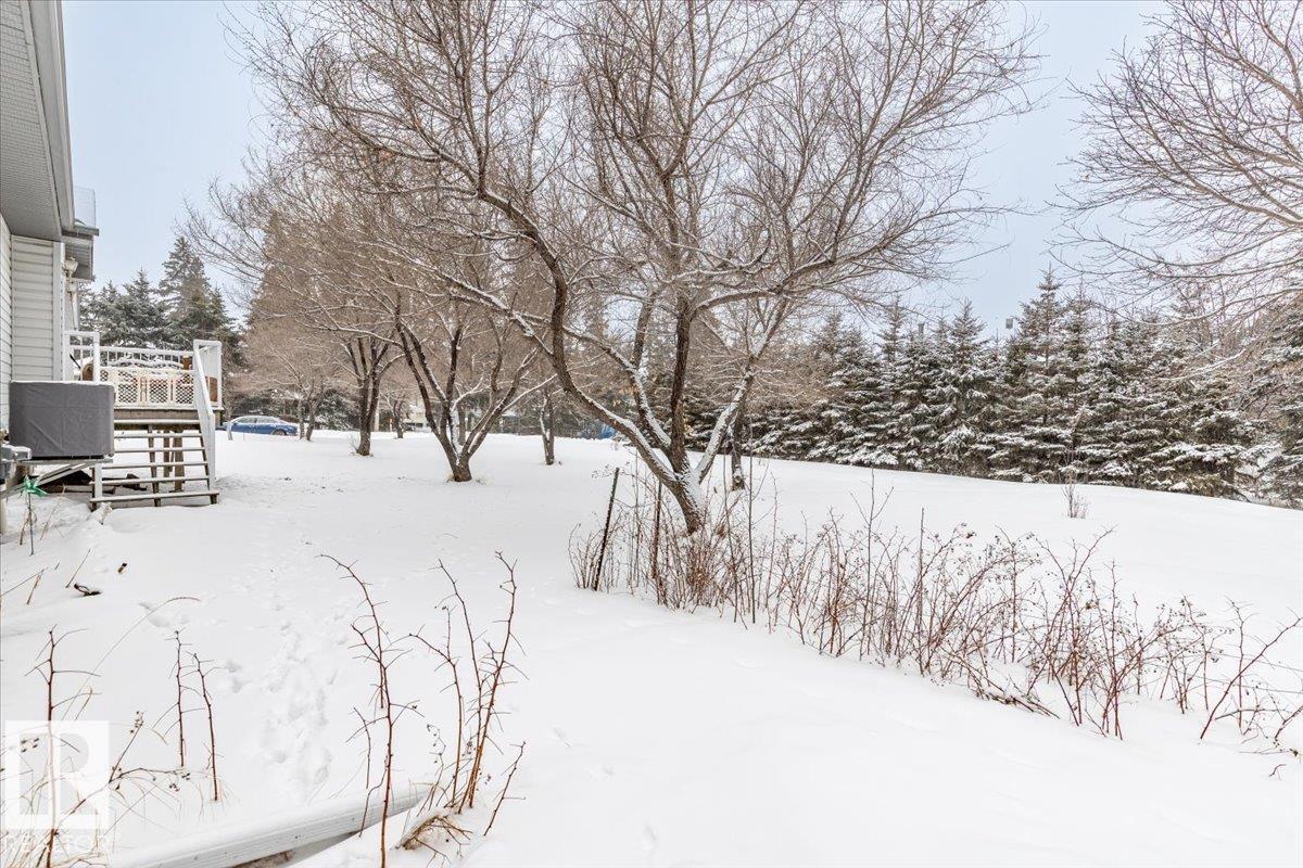 5004 60 Av, Rural Wetaskiwin County, Alberta T0C 2C0 - Photo 43 - E4475379