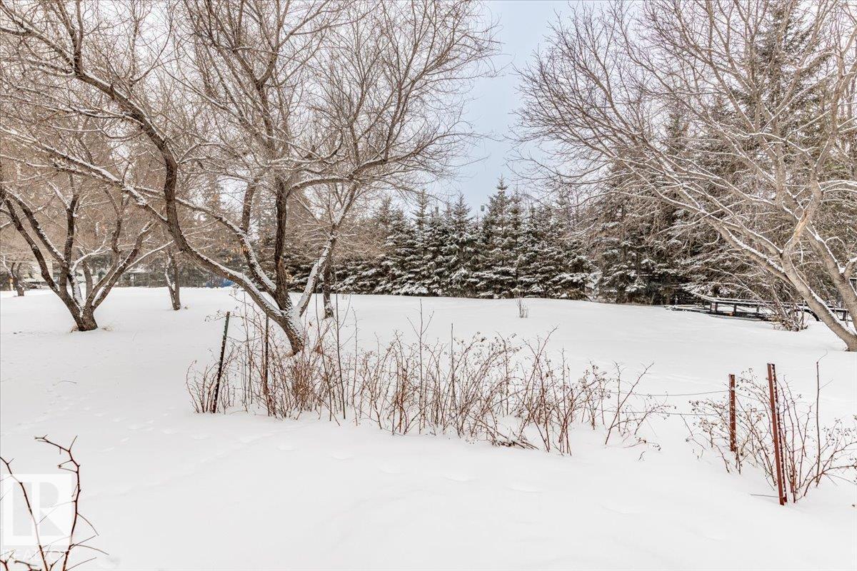 5004 60 Av, Rural Wetaskiwin County, Alberta T0C 2C0 - Photo 44 - E4475379