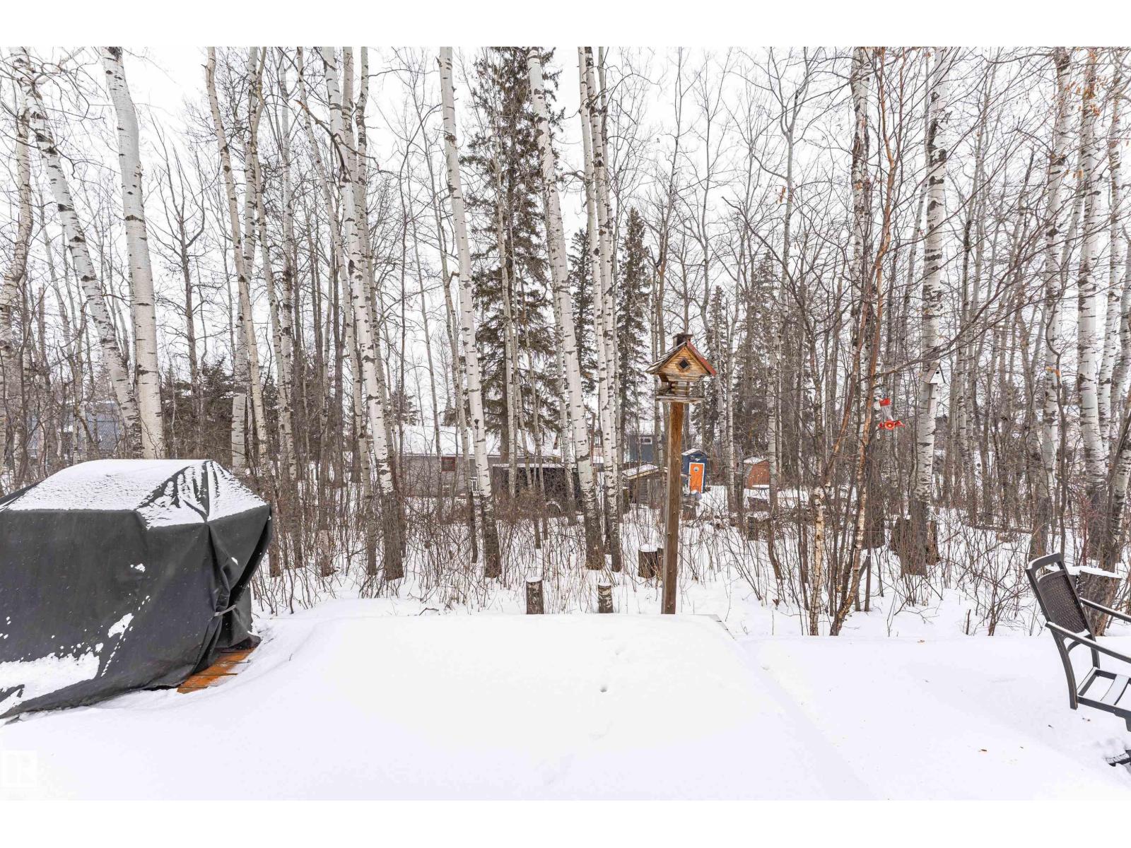 516 5 St, Rural Lac Ste. Anne County, Alberta  T0E 0A2 - Photo 62 - E4475446