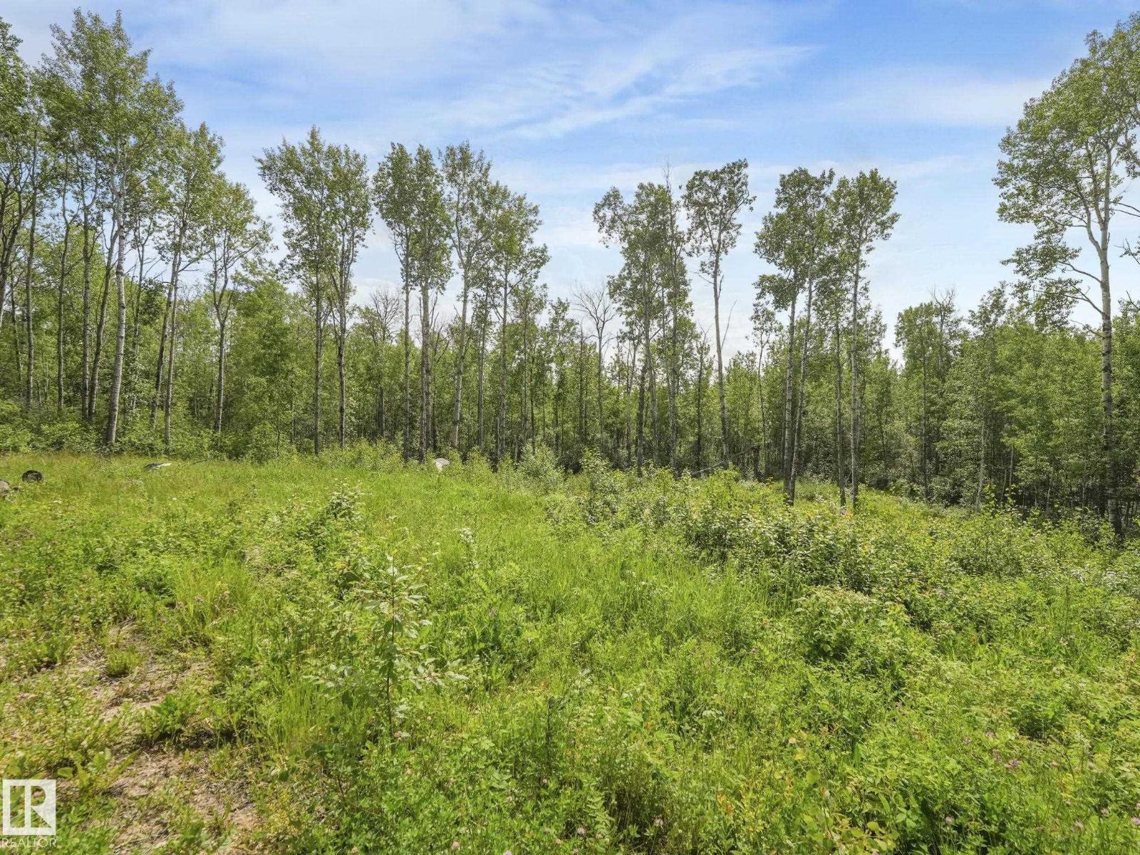 #22 56110 Rge Road 13, Rural Lac Ste. Anne County, Alberta  T0E 1V0 - Photo 58 - E4475622