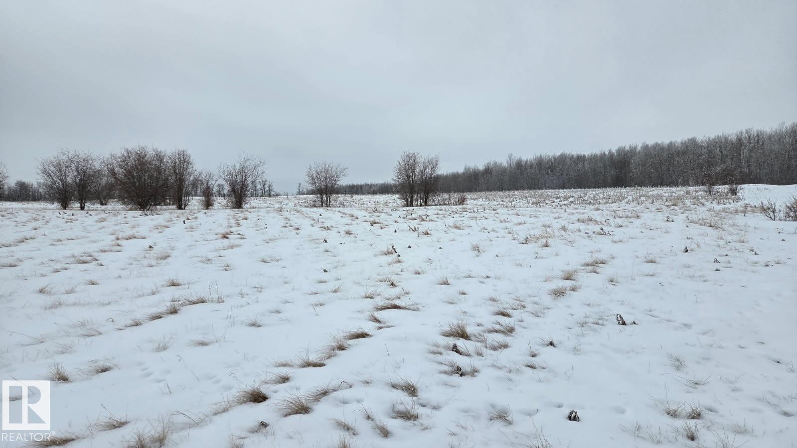 22 15025 Twp Rd 470, Rural Wetaskiwin County, Alberta  T0C 2V0 - Photo 6 - E4475834