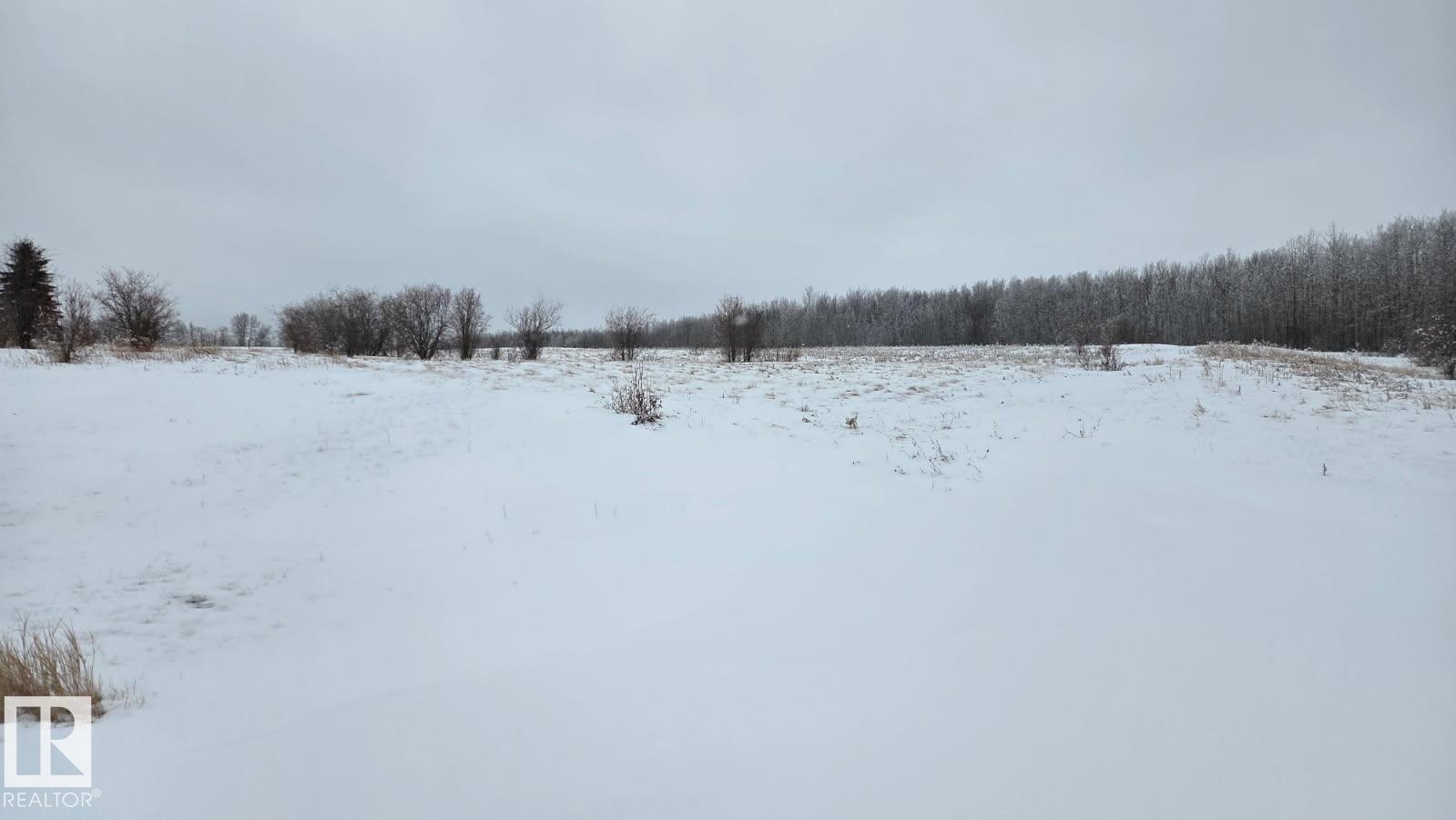 22 15025 Twp Rd 470, Rural Wetaskiwin County, Alberta  T0C 2V0 - Photo 8 - E4475834