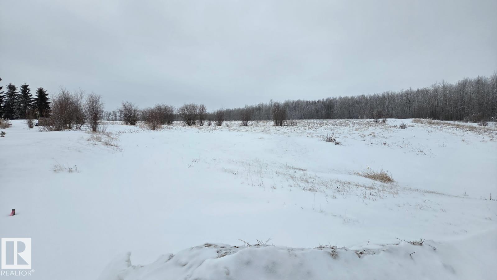 22 15025 Twp Rd 470, Rural Wetaskiwin County, Alberta  T0C 2V0 - Photo 9 - E4475834