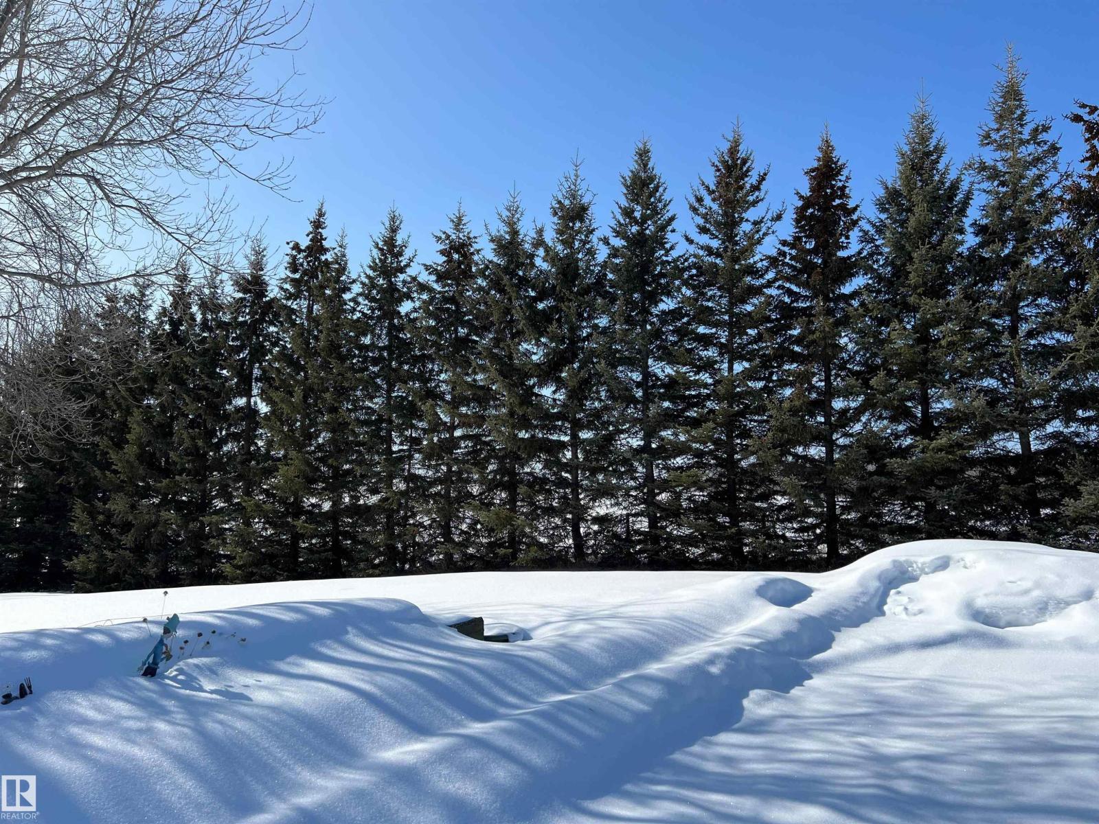 6211 Hwy 39, Rural Brazeau County, Alberta  T7A 1R2 - Photo 47 - E4475884