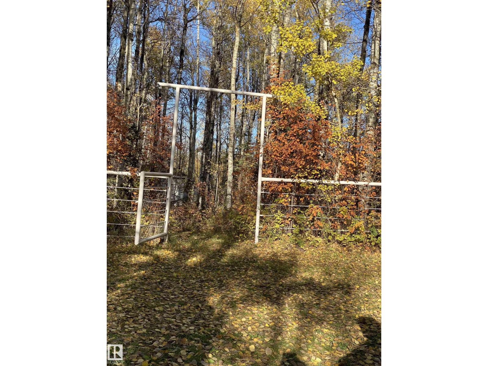 6211 Hwy 39, Rural Brazeau County, Alberta  T7A 1R2 - Photo 68 - E4475884