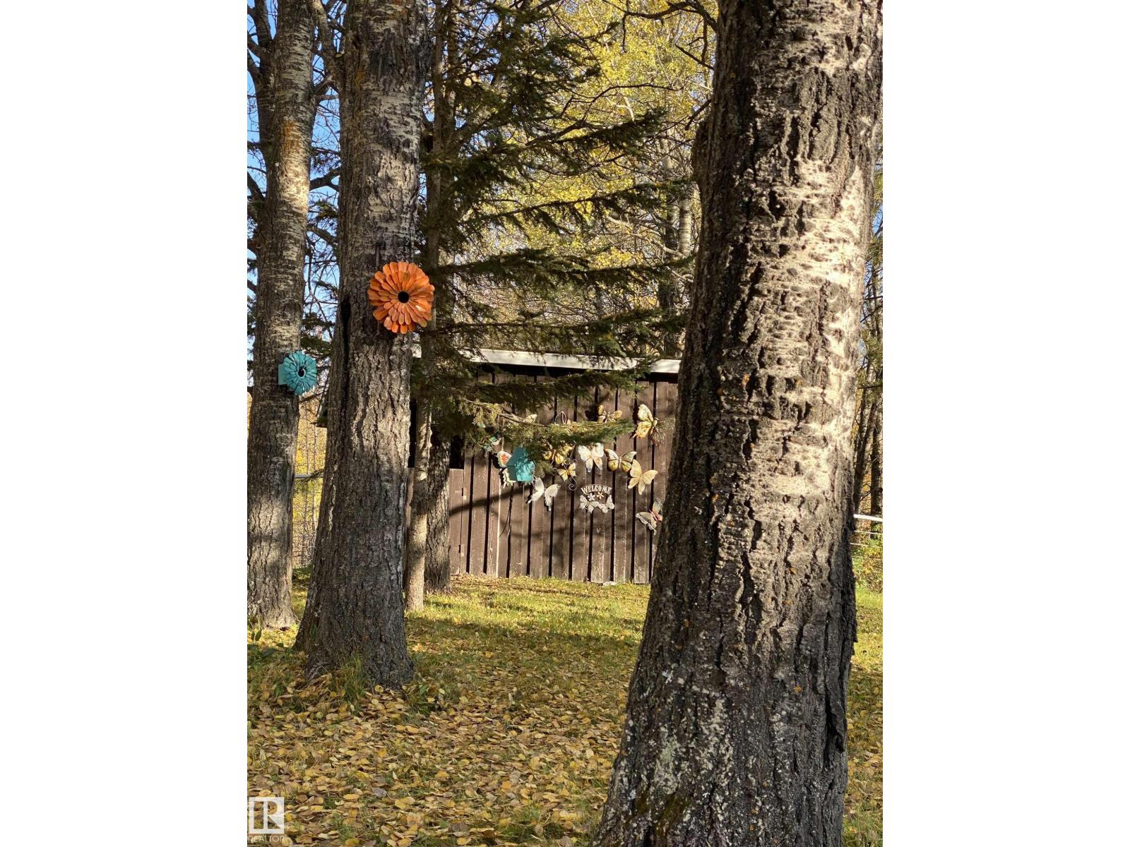 6211 Hwy 39, Rural Brazeau County, Alberta  T7A 1R2 - Photo 71 - E4475884