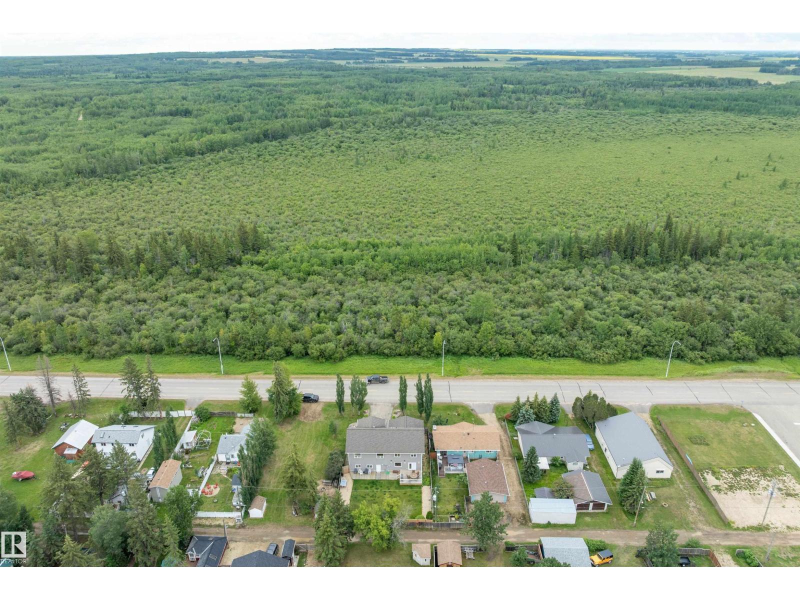 513 2nd Av, Rural Wetaskiwin County, Alberta  T0C 1X0 - Photo 60 - E4476052