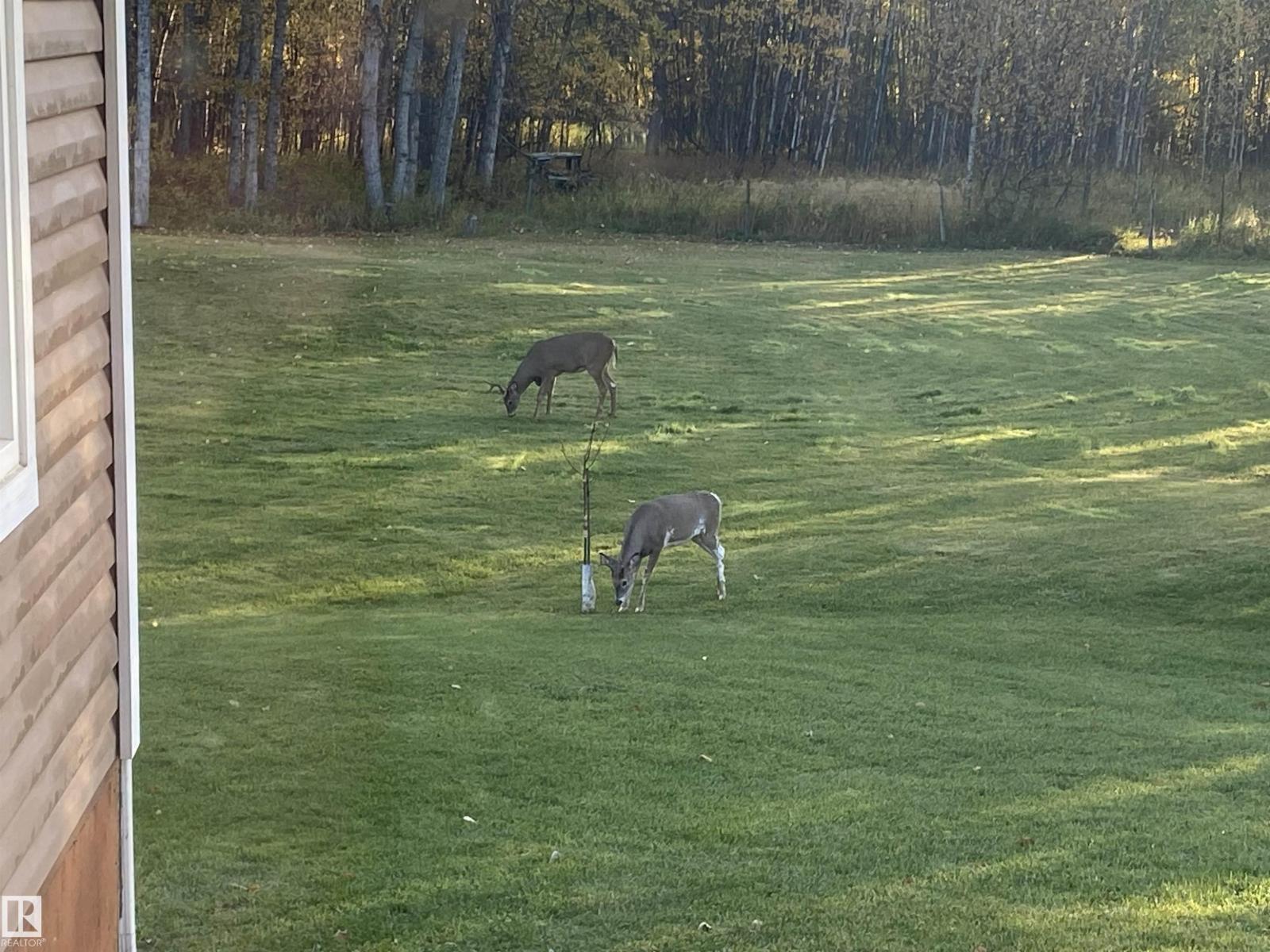 6127 Twp Road 540a, Rural Lac Ste. Anne County, Alberta  T0E 1H0 - Photo 55 - E4476557
