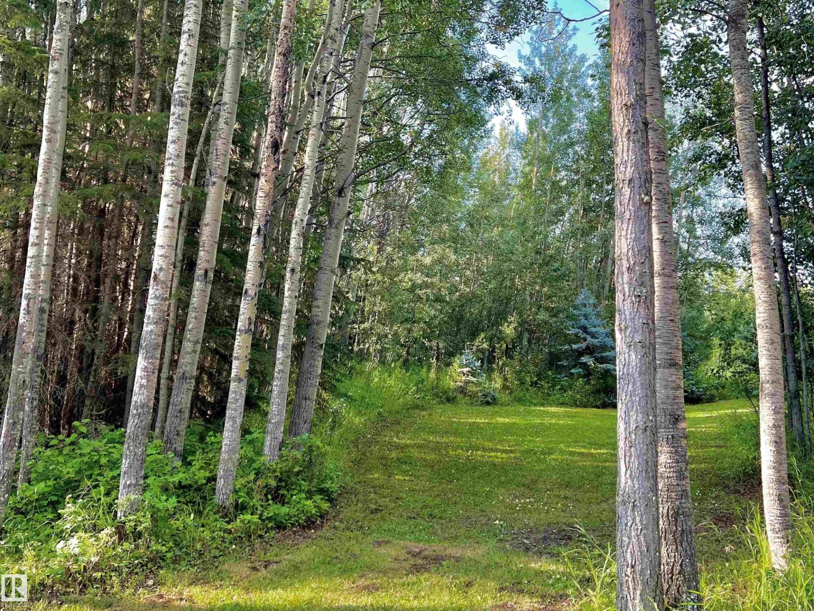 #7 Hauser’s Cove, Rural Wetaskiwin County, Alberta  T0C 0T0 - Photo 4 - E4476880