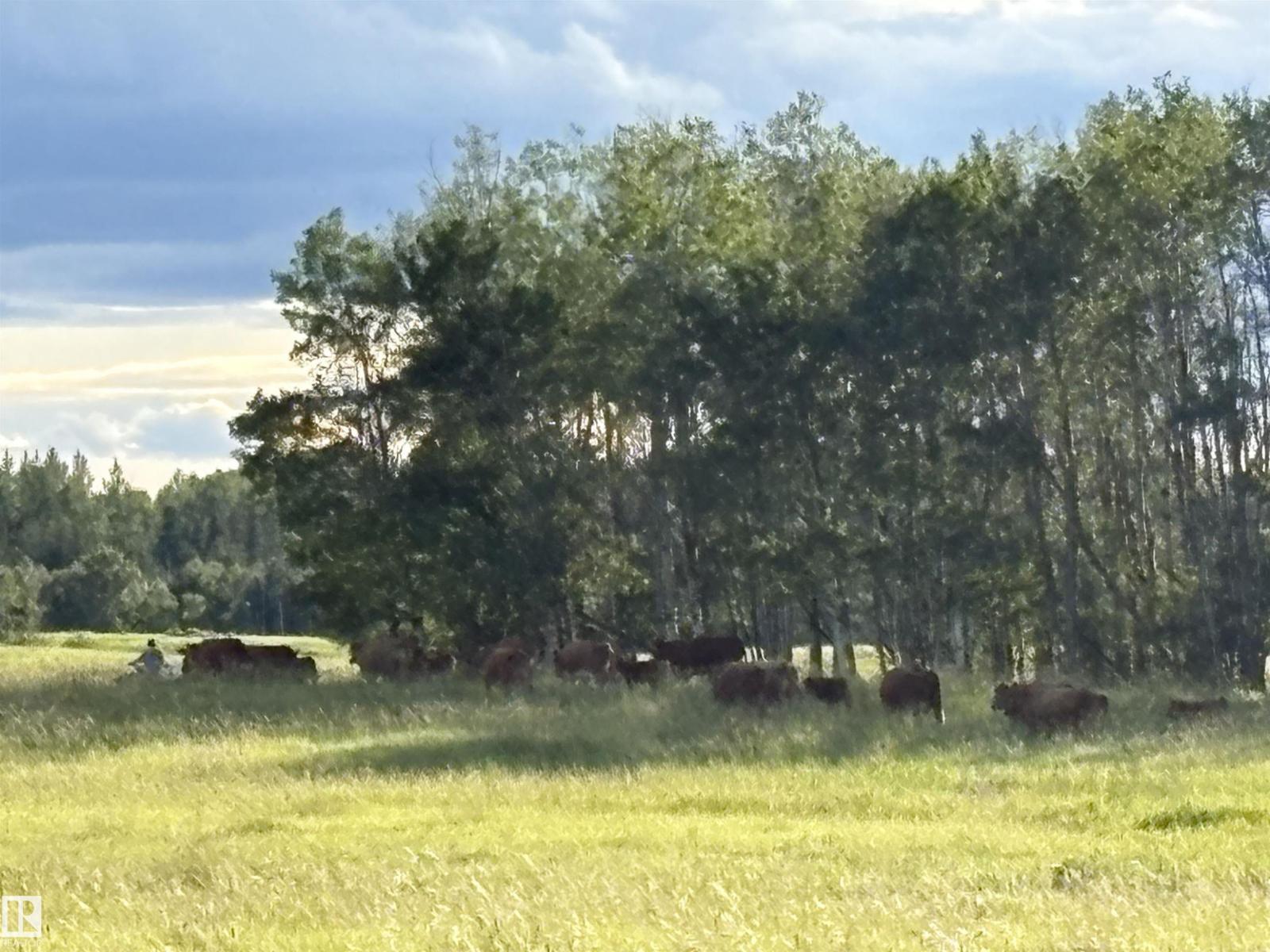 0 Nw-31-49-3 W5, Rural Leduc County, Alberta  T0C 2T0 - Photo 4 - E4476900