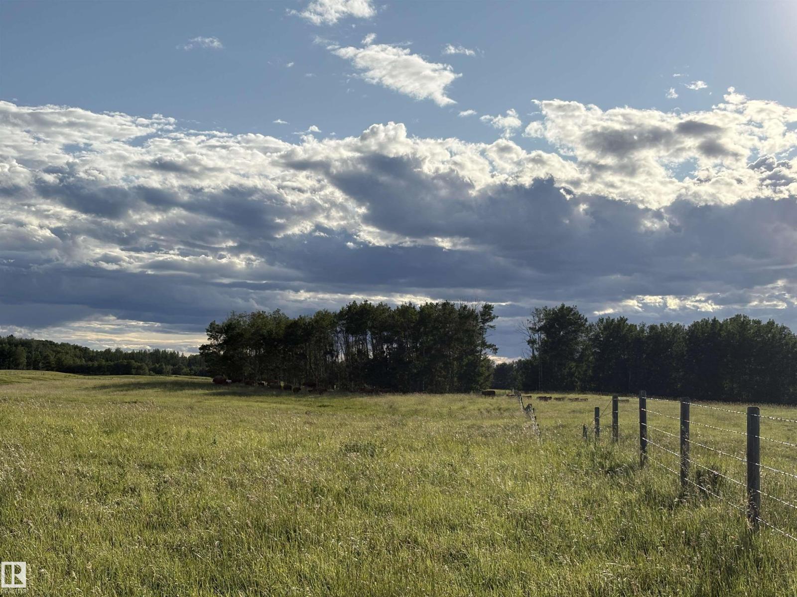 0 Nw-31-49-3 W5, Rural Leduc County, Alberta  T0C 2T0 - Photo 5 - E4476900