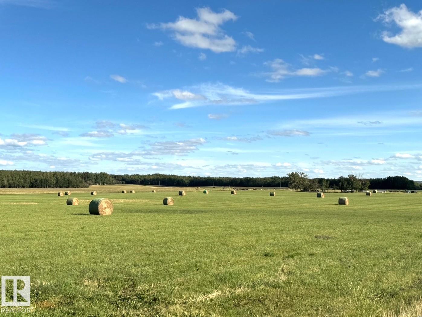 542a Rrd 92, Rural Yellowhead, Alberta  T0E 2M0 - Photo 3 - E4476976