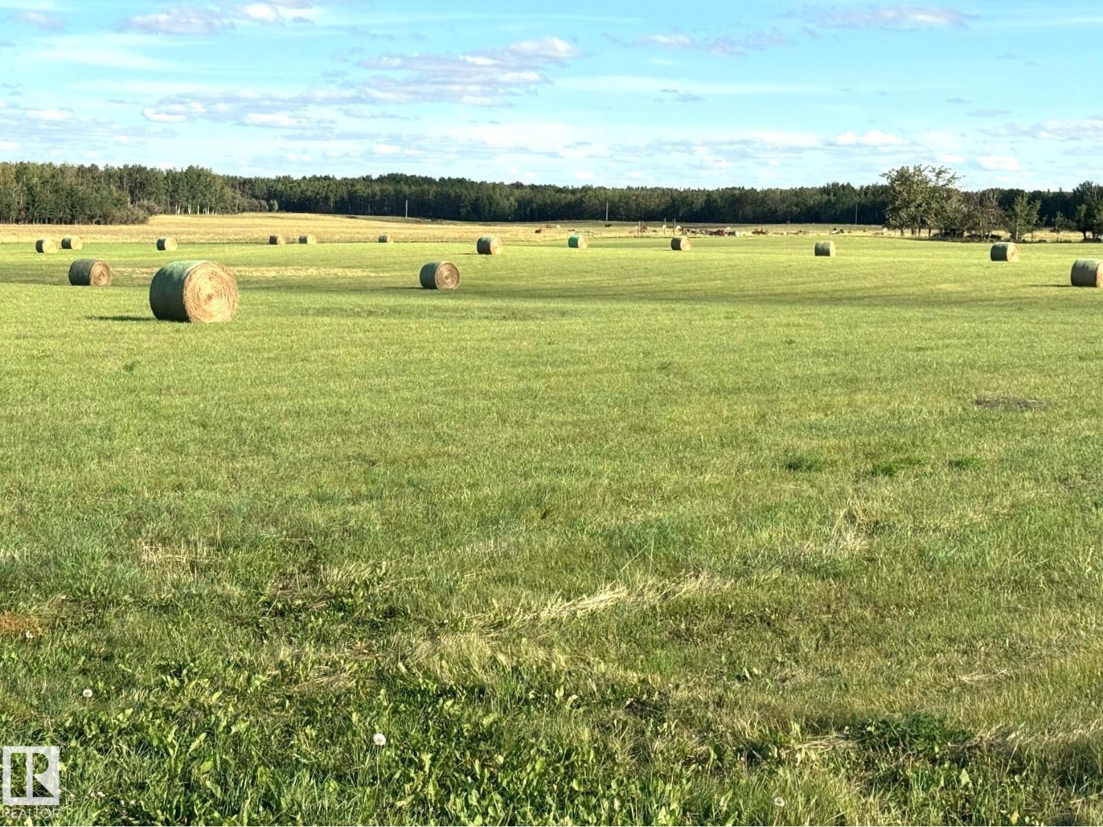 542a Rrd 92, Rural Yellowhead, Alberta  T0E 2M0 - Photo 4 - E4476976