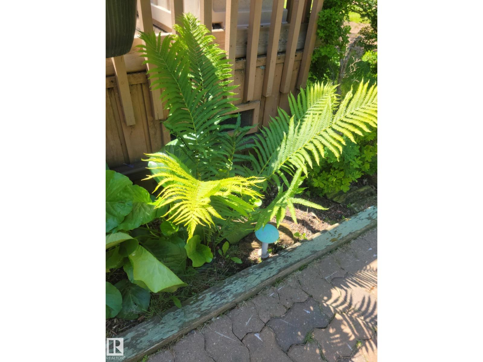 #128 4521 Lakeshore Rd, Rural Parkland County, Alberta  T0E 2K0 - Photo 44 - E4477031