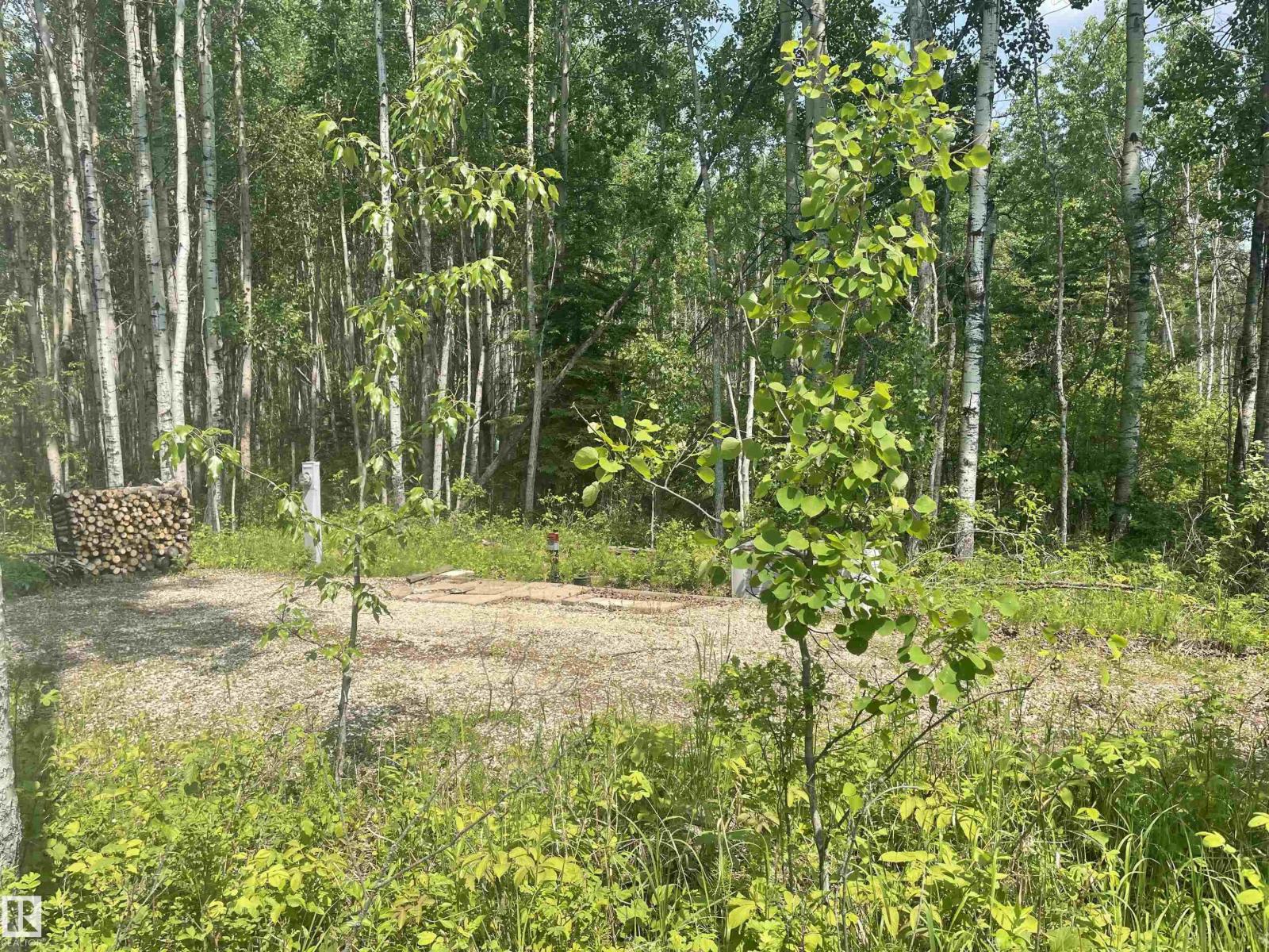 #74 5519 Twp Rd 550, Rural Lac Ste. Anne County, Alberta  T0E 0L0 - Photo 4 - E4477185