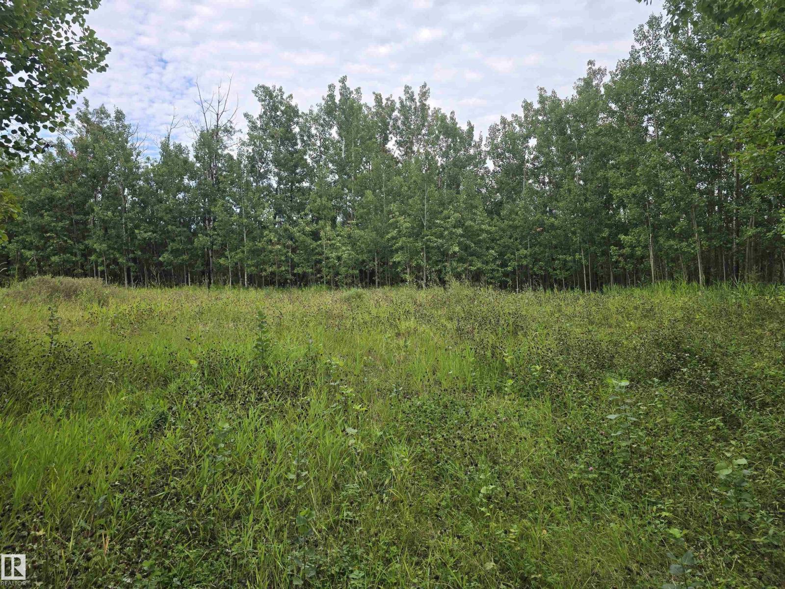 19-55022 Ste. Anne Trail, Rural Lac Ste. Anne County, Alberta  T0E 1A0 - Photo 3 - E4477369