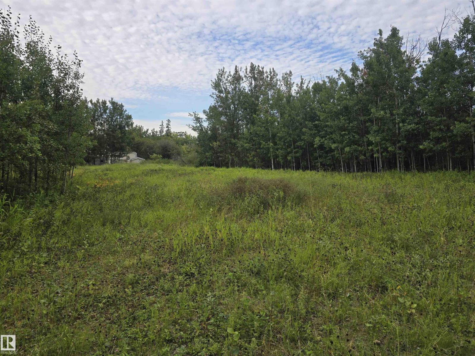 19-55022 Ste. Anne Trail, Rural Lac Ste. Anne County, Alberta  T0E 1A0 - Photo 4 - E4477369
